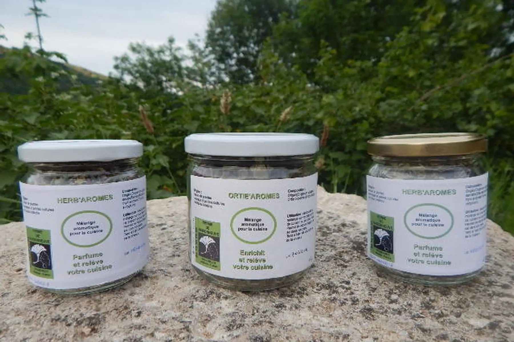 mélanges aromatiques pour la cuisine