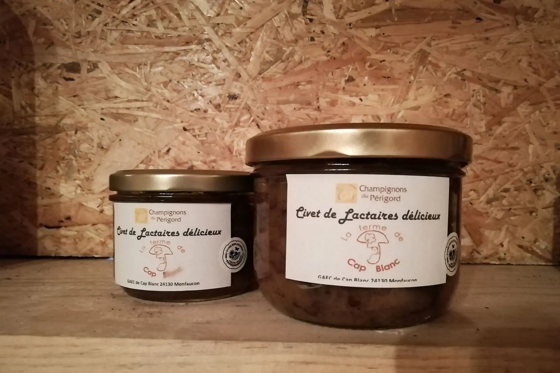 civet de lactaires délicieux