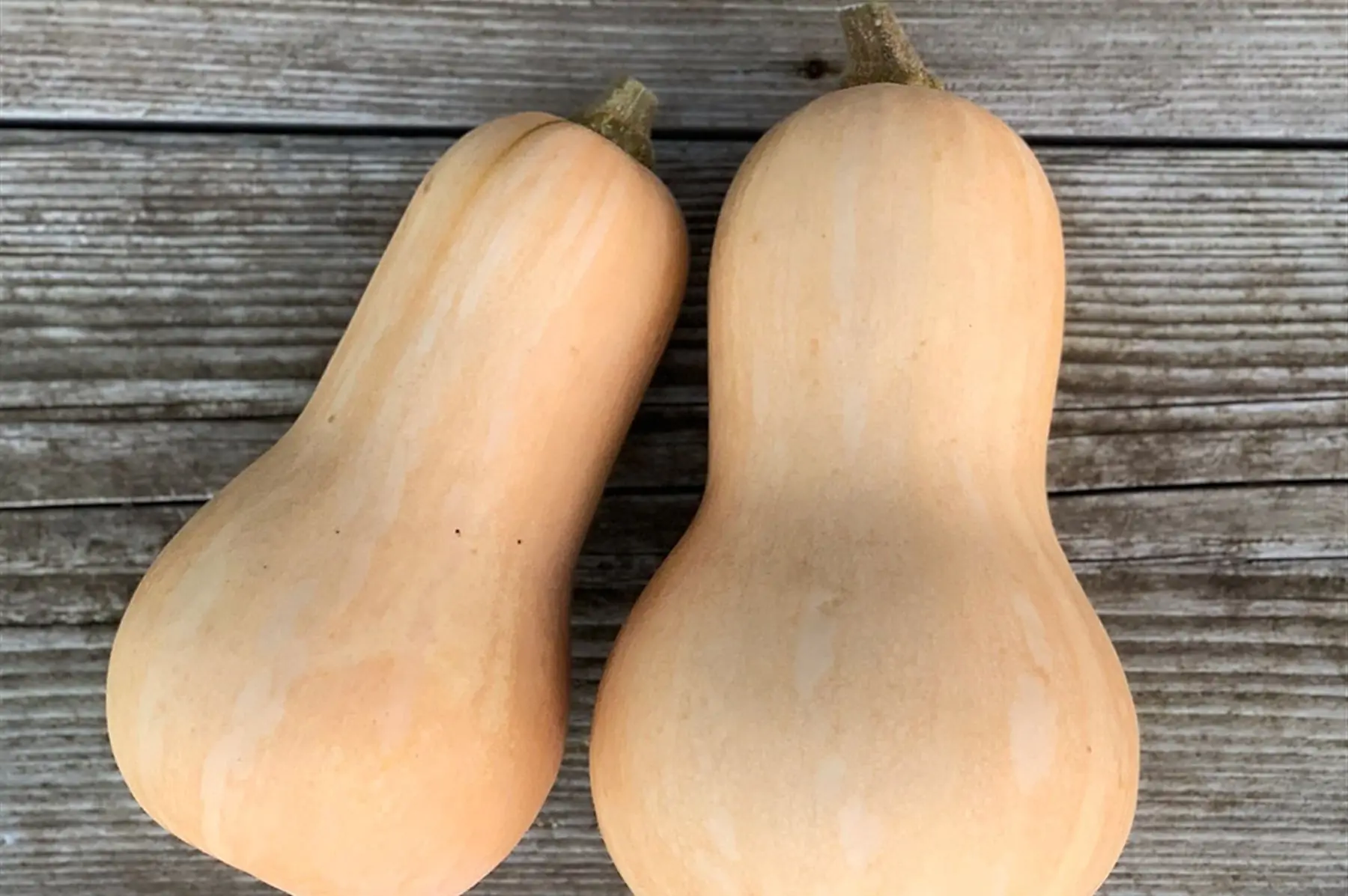 butternut