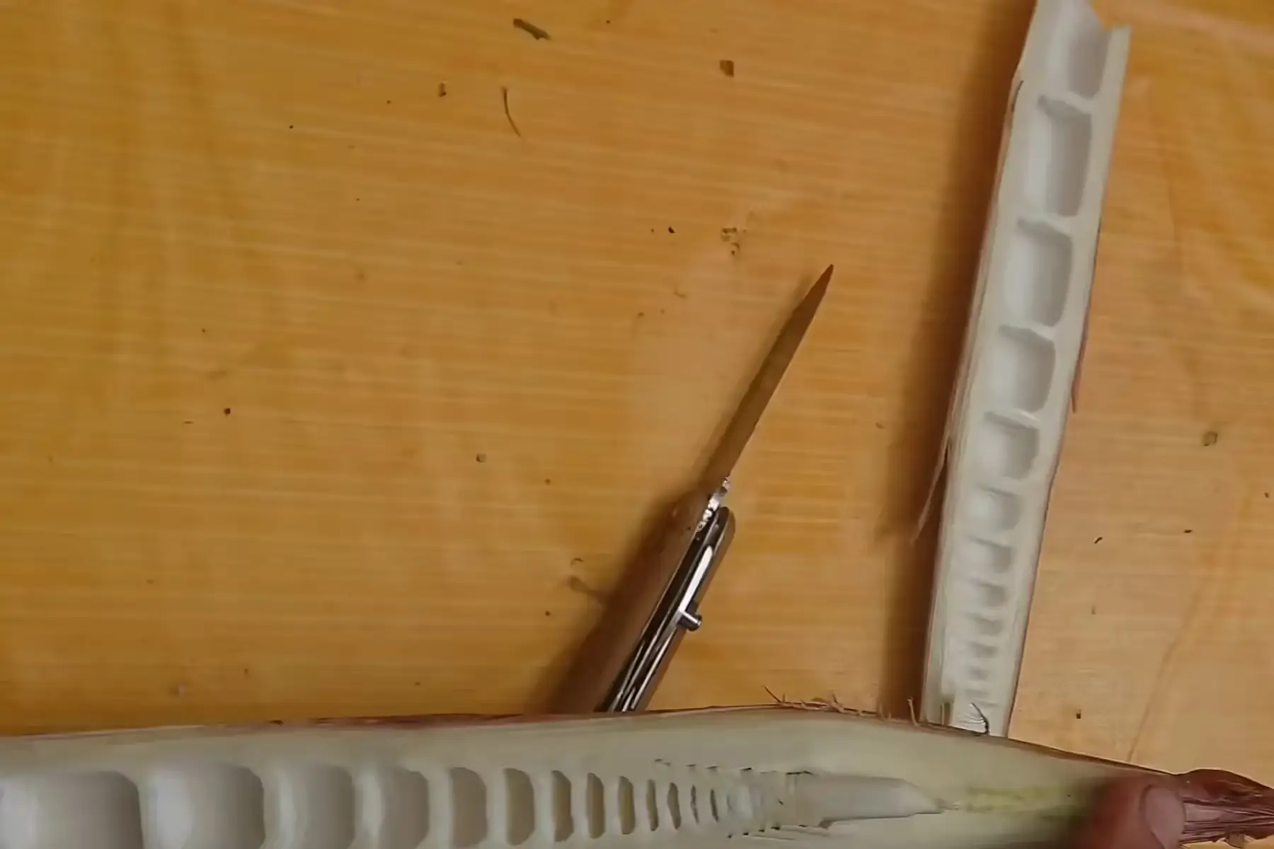 pousse de bambou fraîches bio