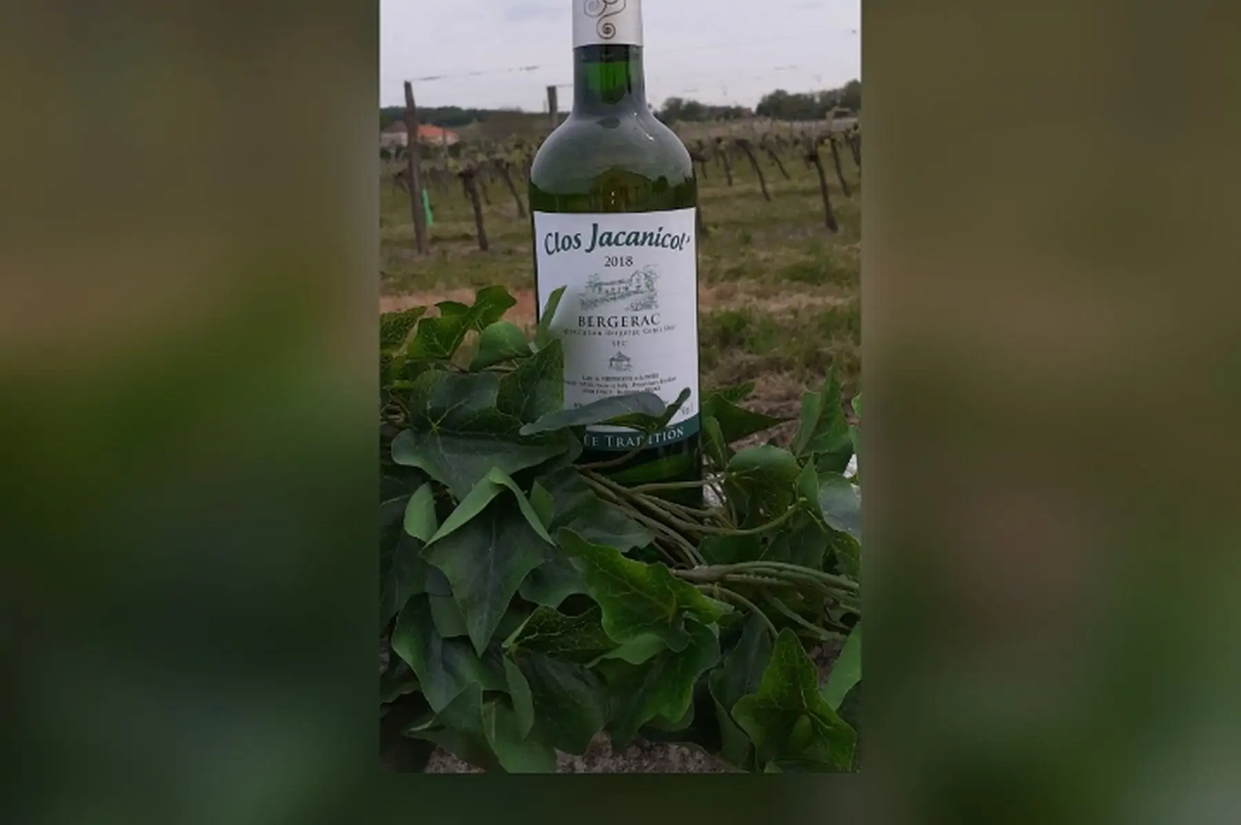 la bouteille de "bergerac sec" (75cl)