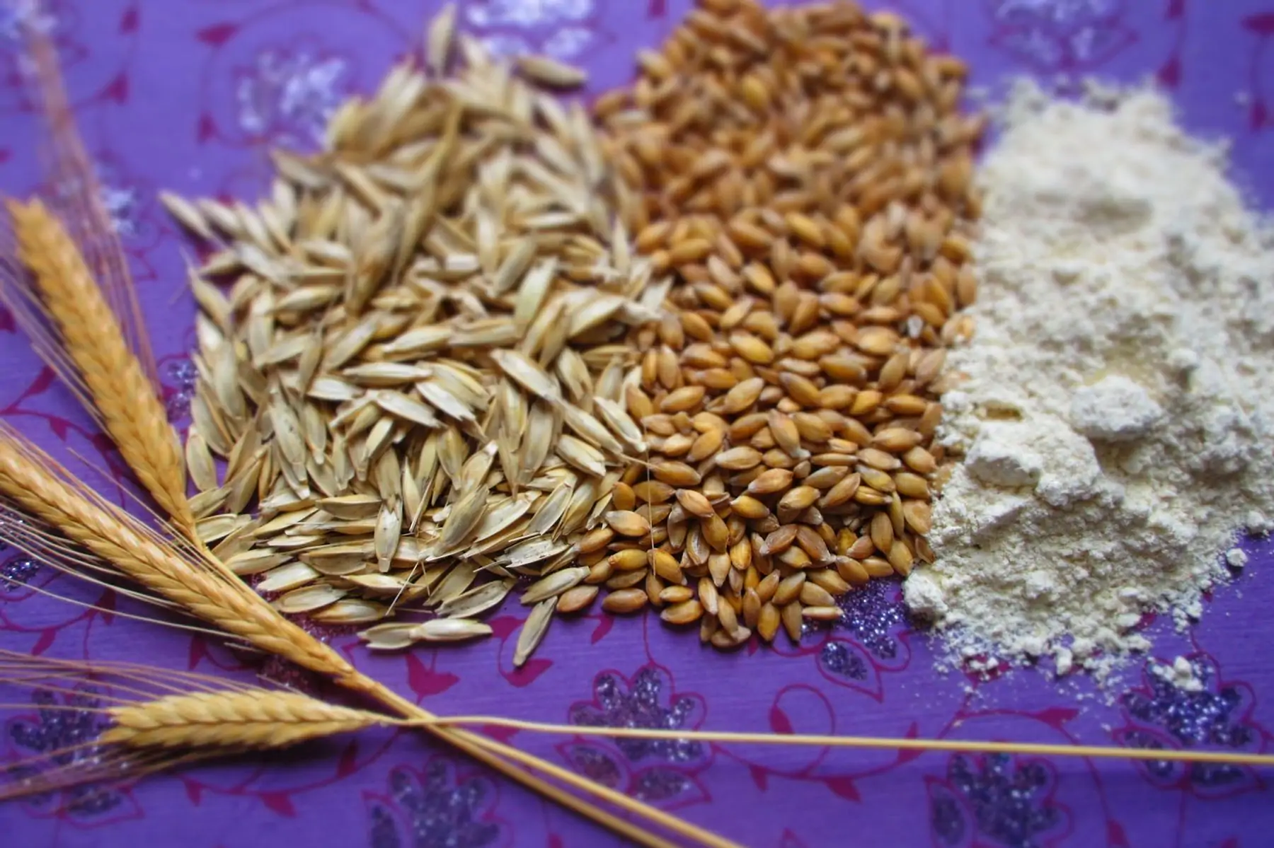 farine de petit épeautre bio