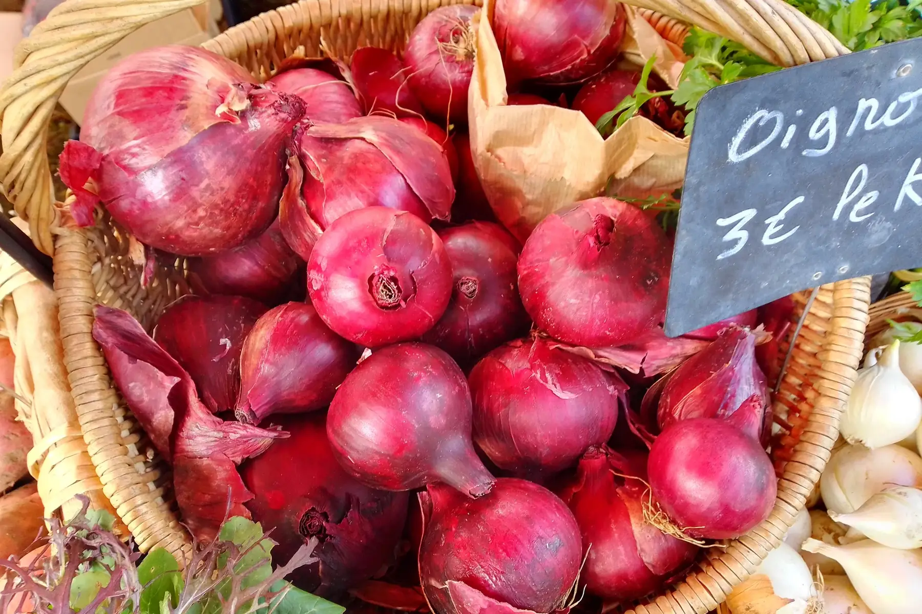 oignon rouge