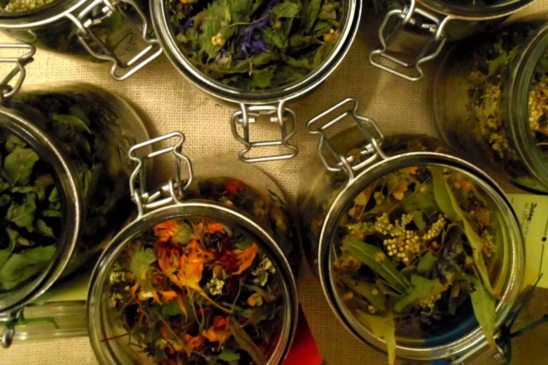 tisane flleur dé soula : digestion fleurie