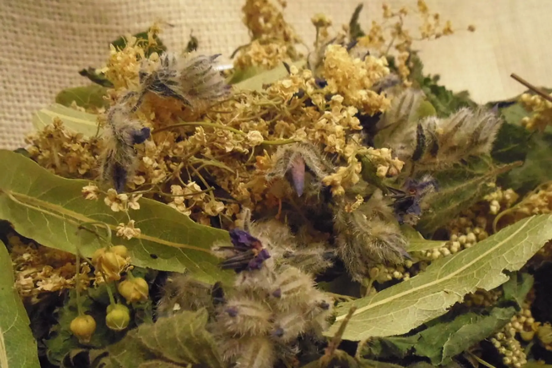 sue'sane : tisane de l'élimination