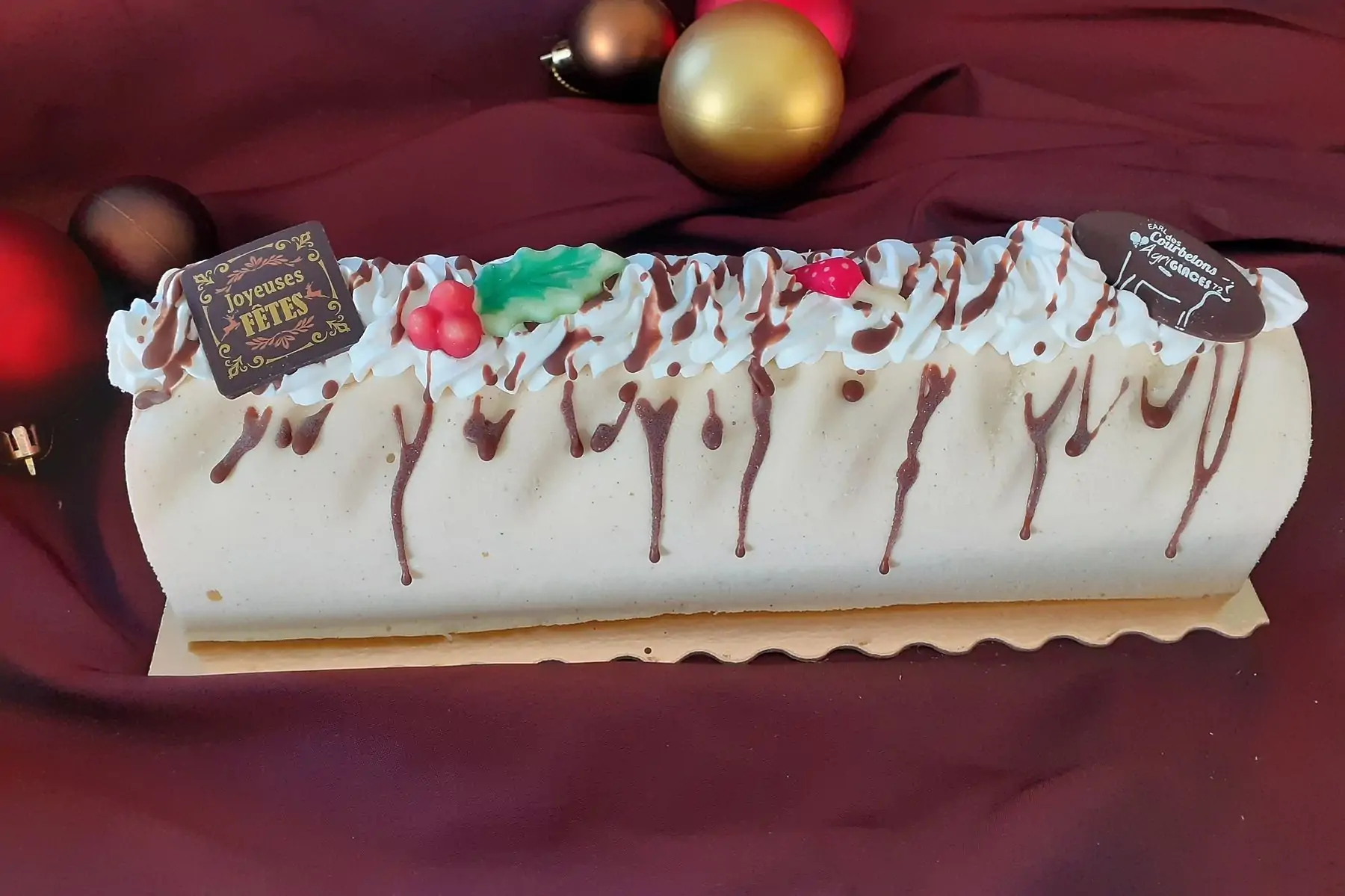 bûche glacée 10/12 parts