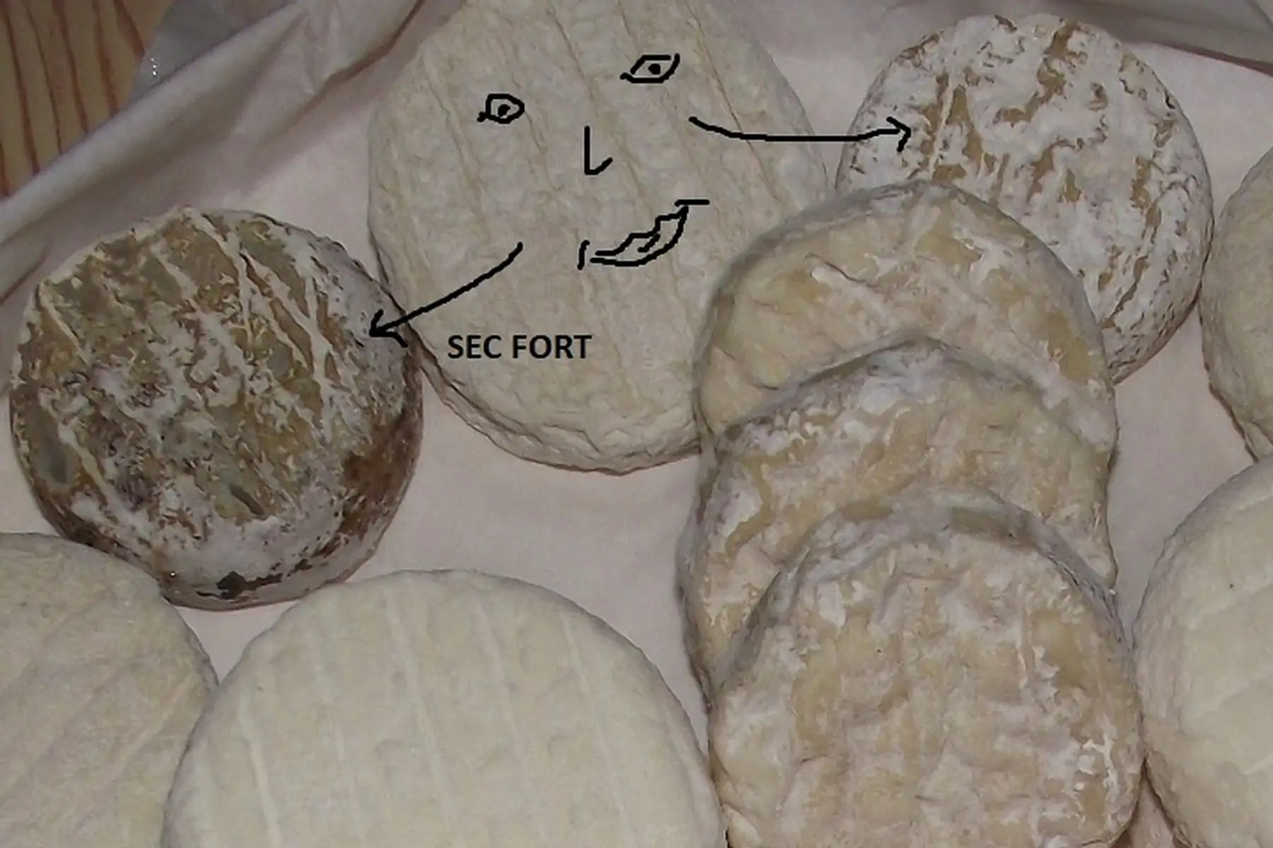 fromage de chèvre sec fort