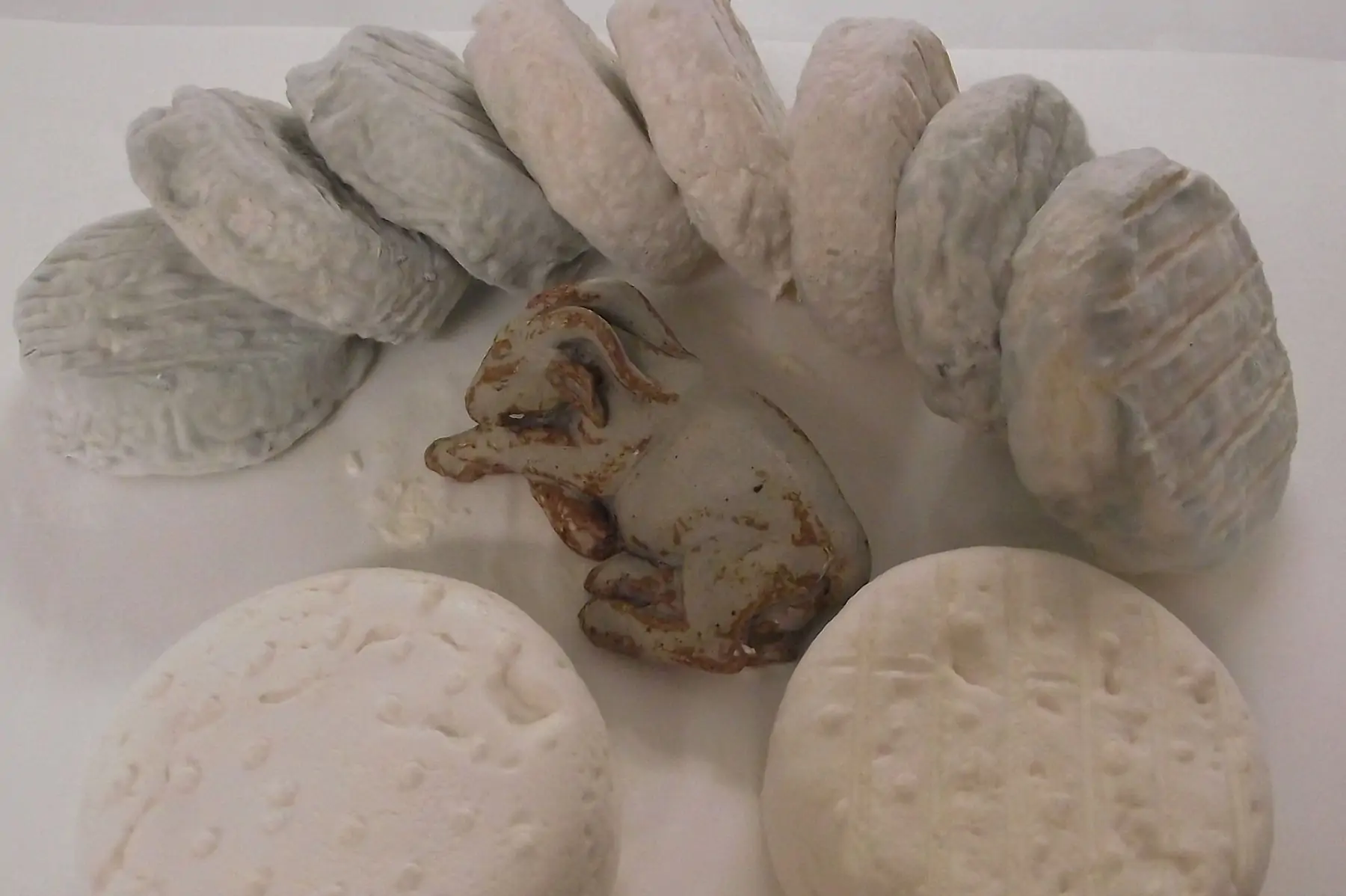 fromage de chèvre secs