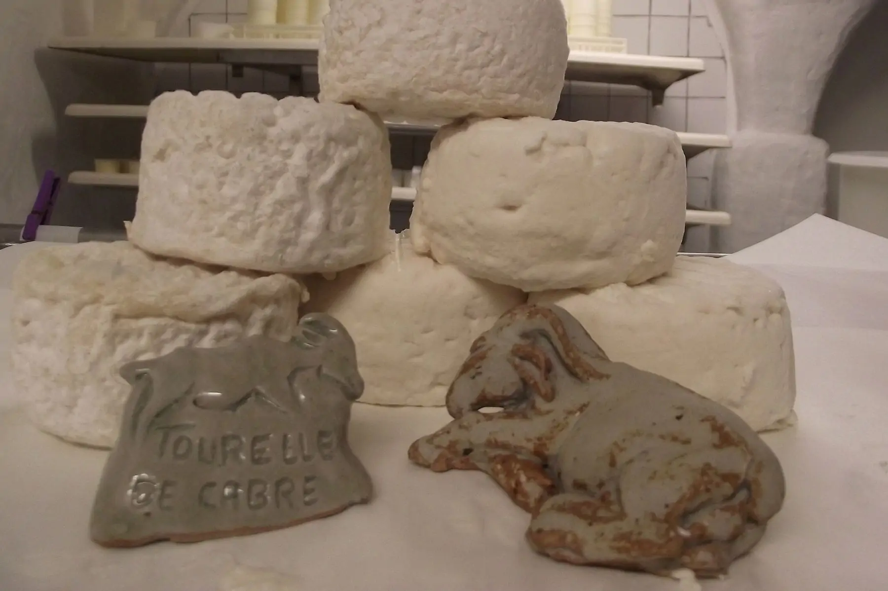 fromage de chèvre "tourelles  de cabre"