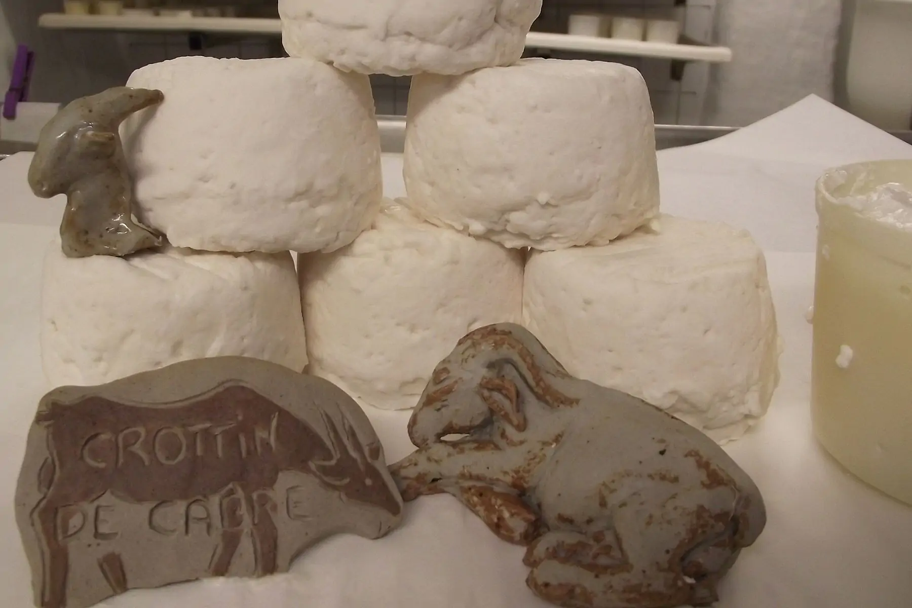 fromage de chèvre "crottin de cabre"