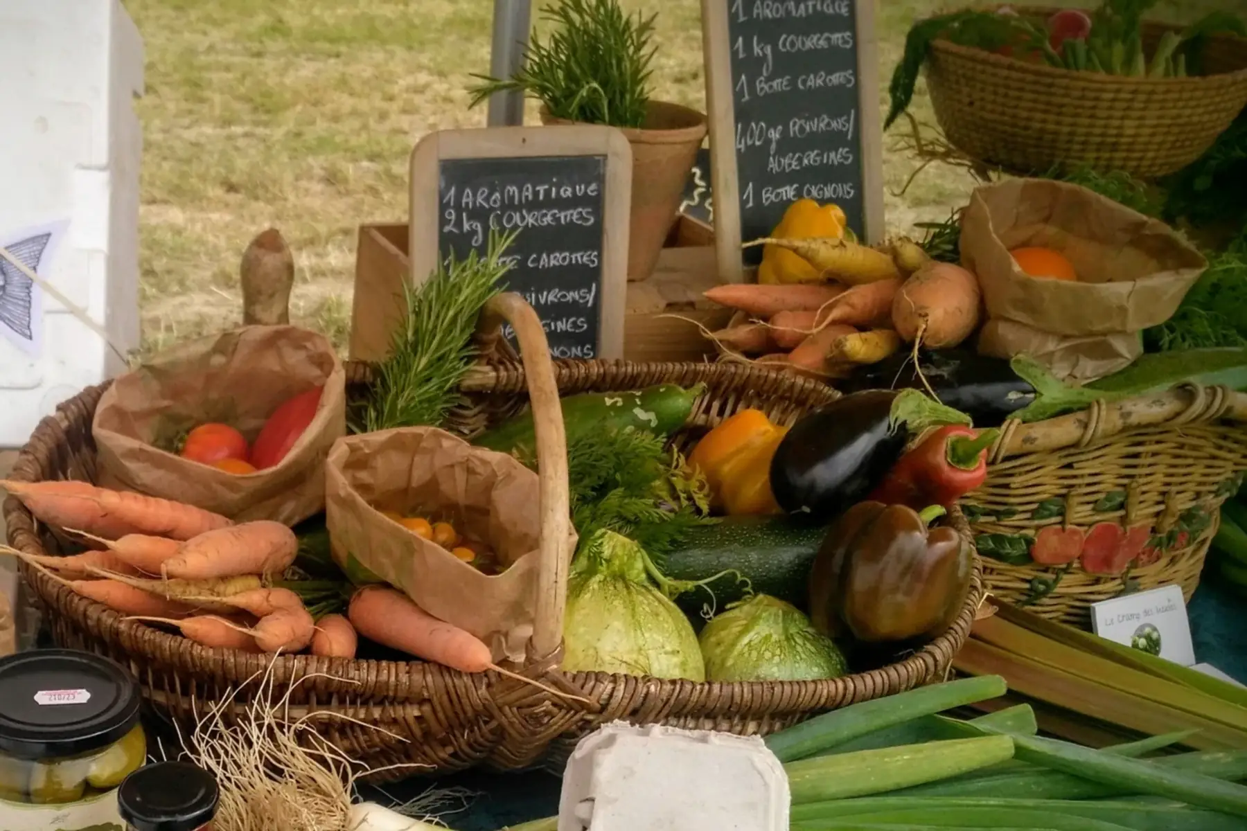 Le Champ des lucioles