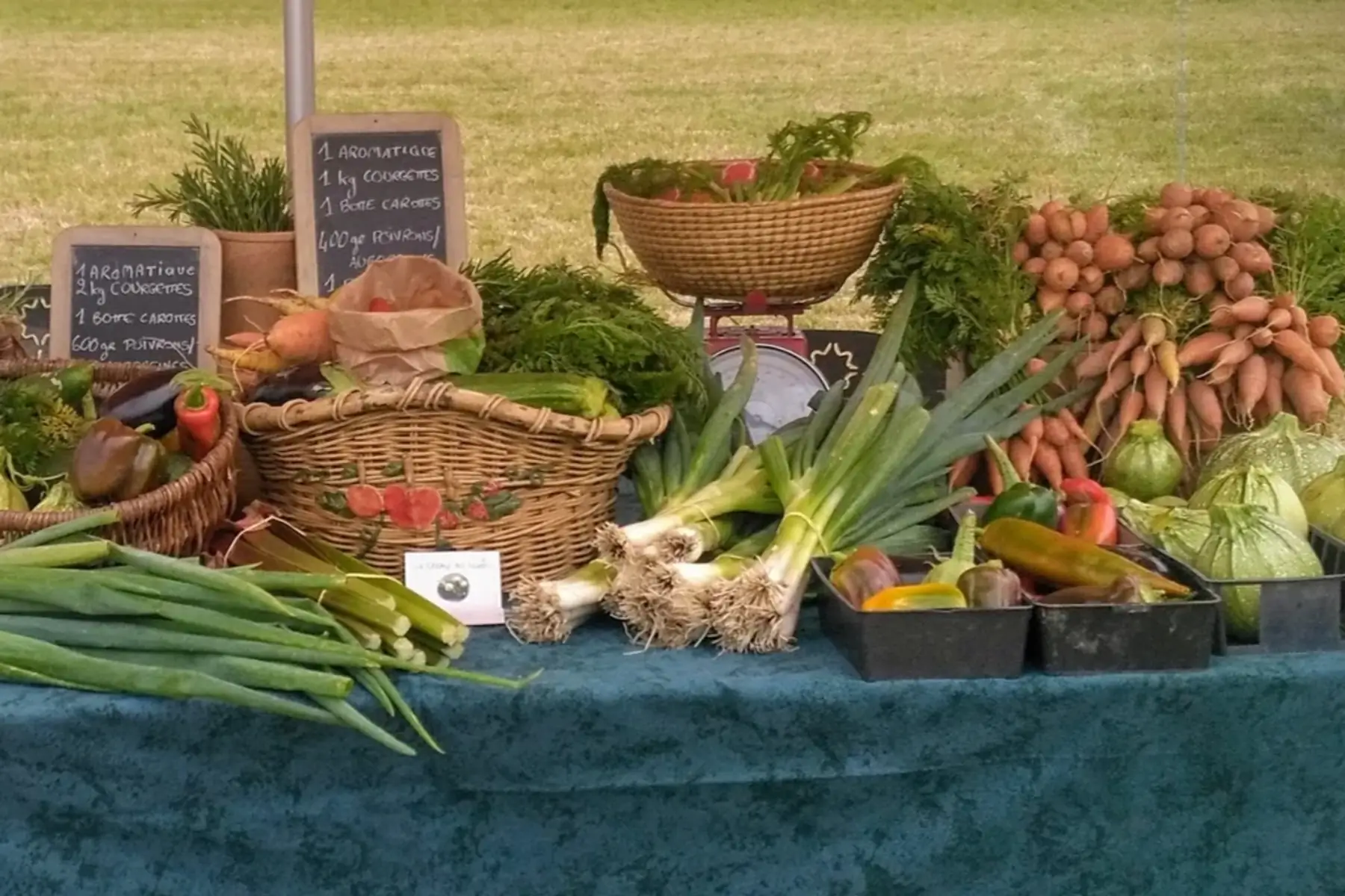 panier de légumes 20€