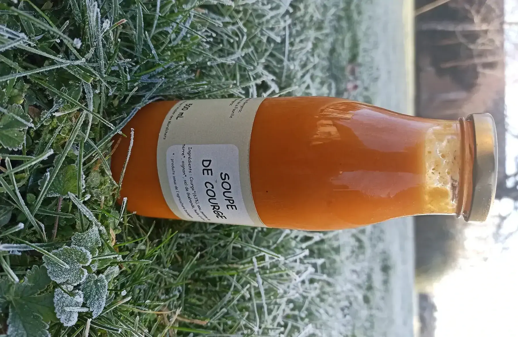 soupe citrouille potimarron