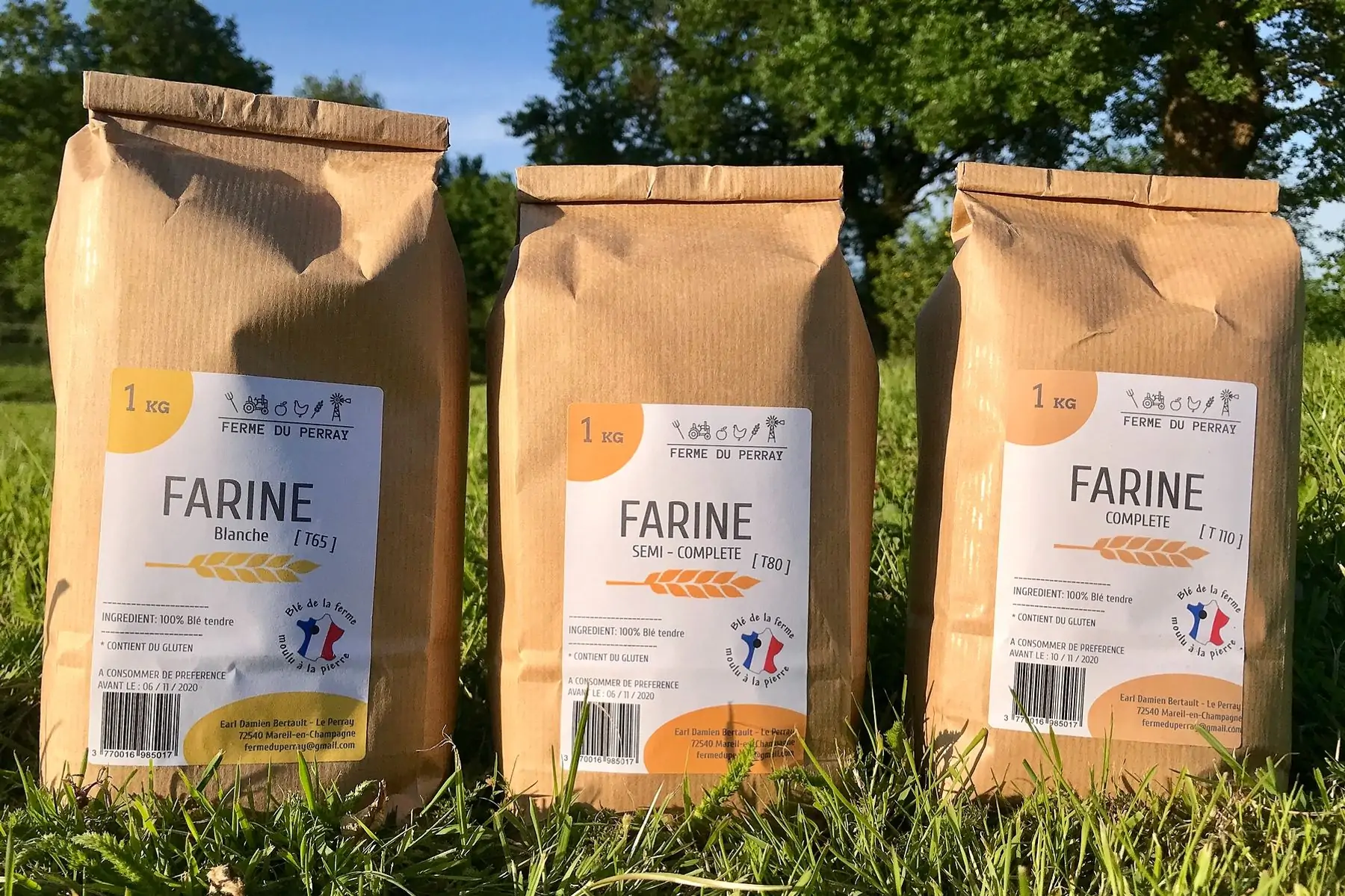 farine complète t 110 - 1 kg