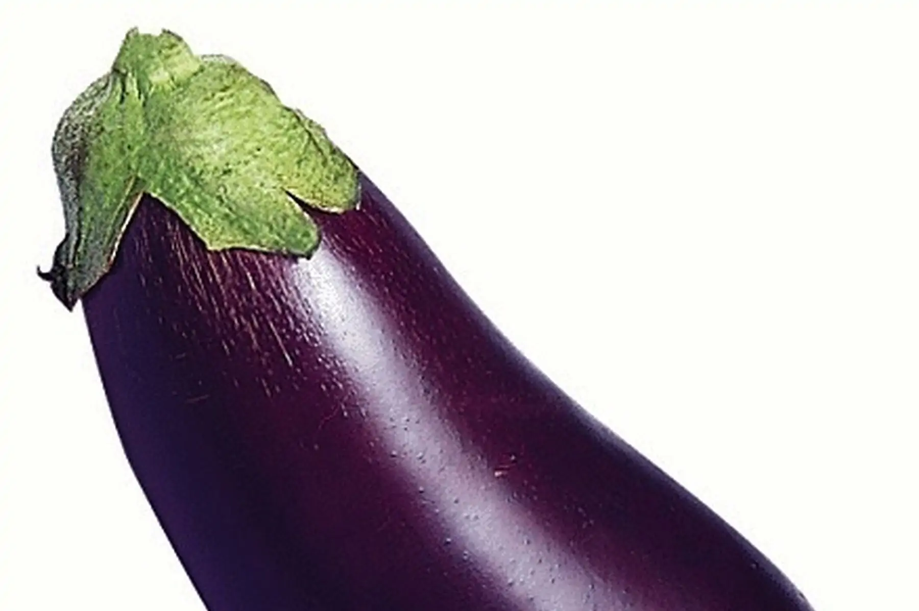 aubergine