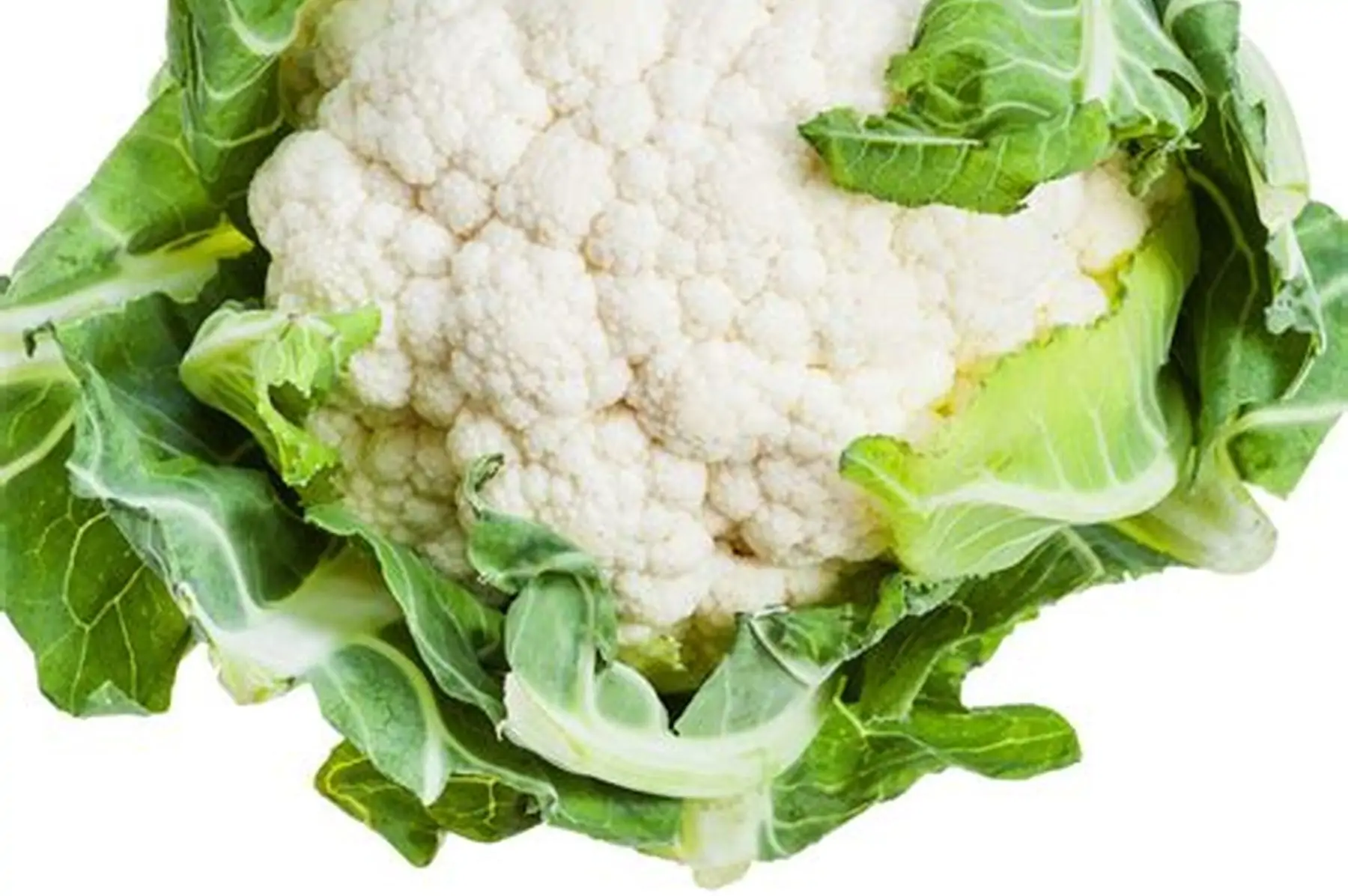 chou fleur