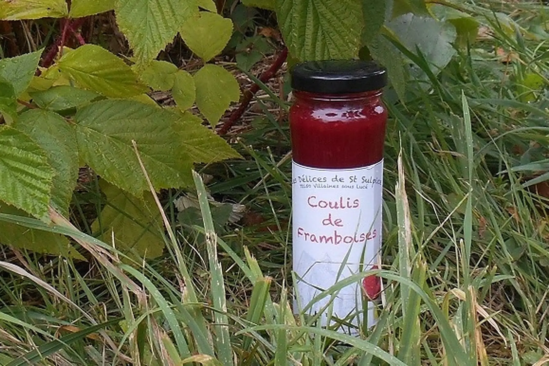 coulis de framboises