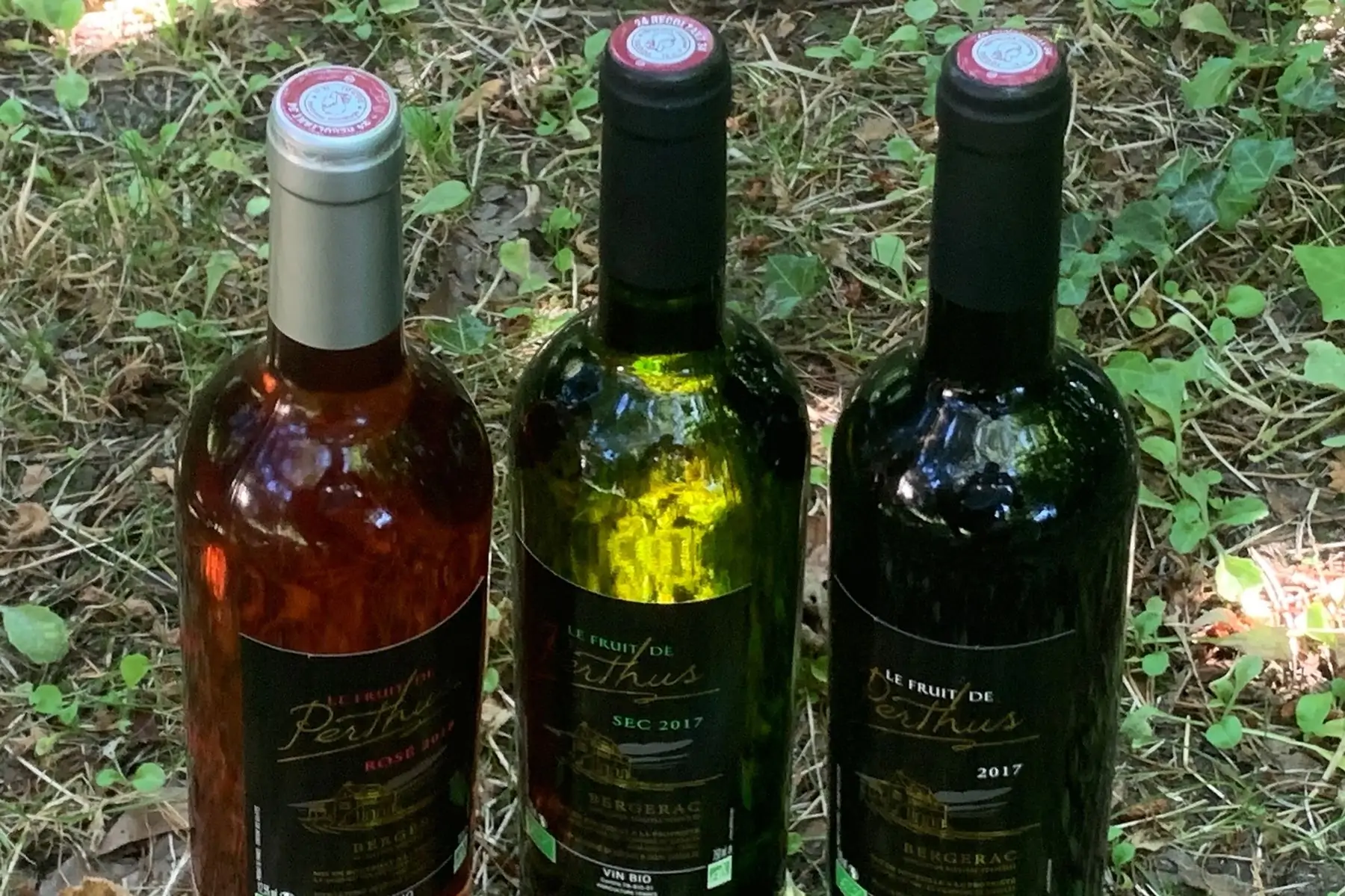 fruit de perthus rosé