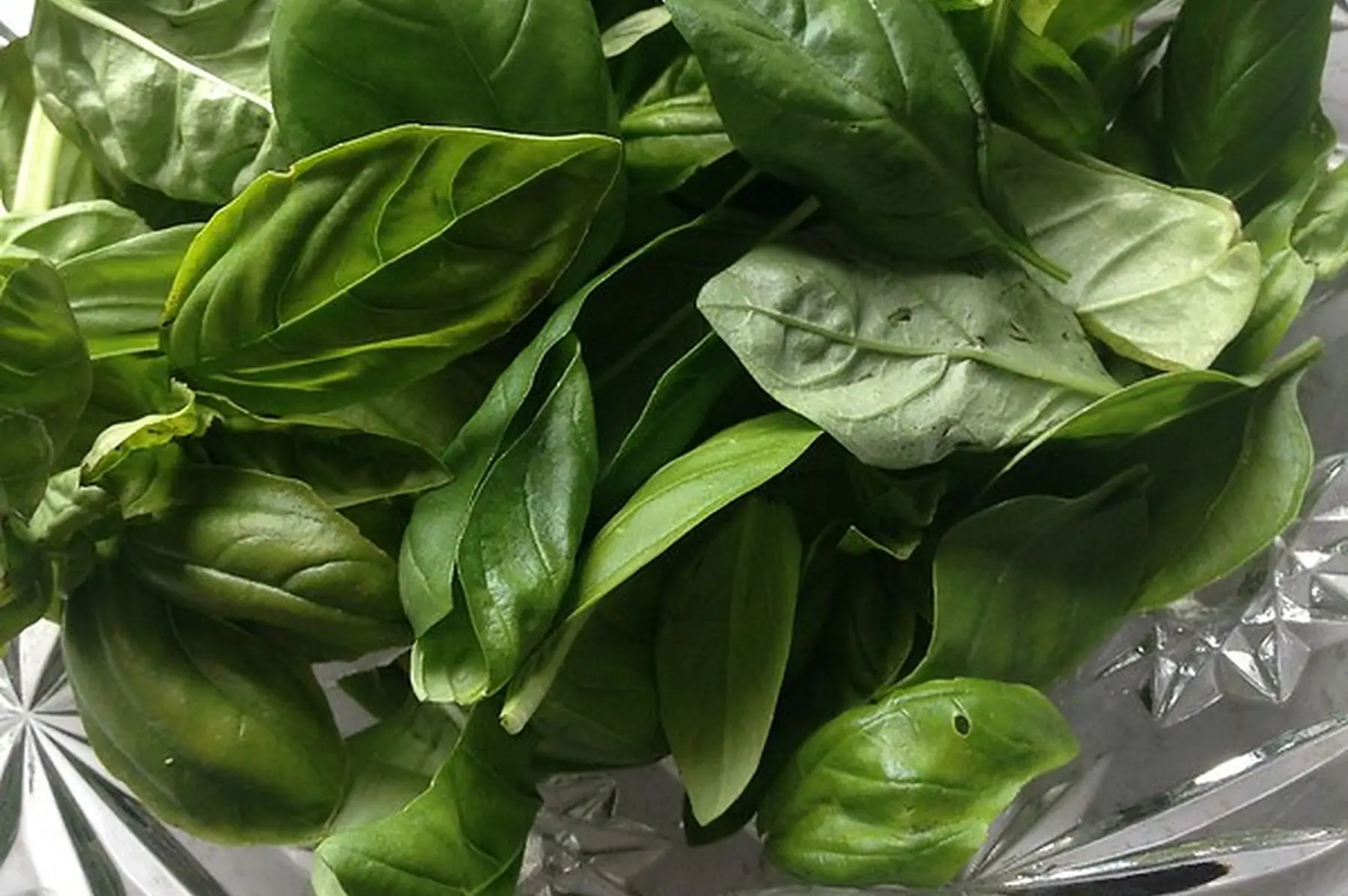 les jardins nourriciers