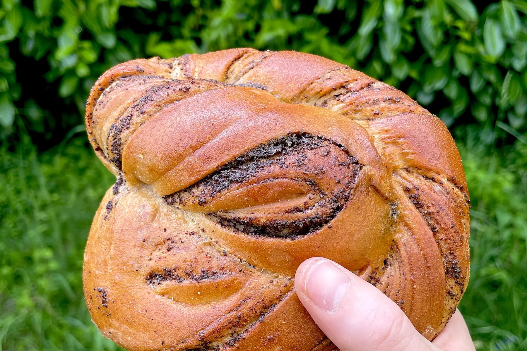 Brioche roulée au pavot
