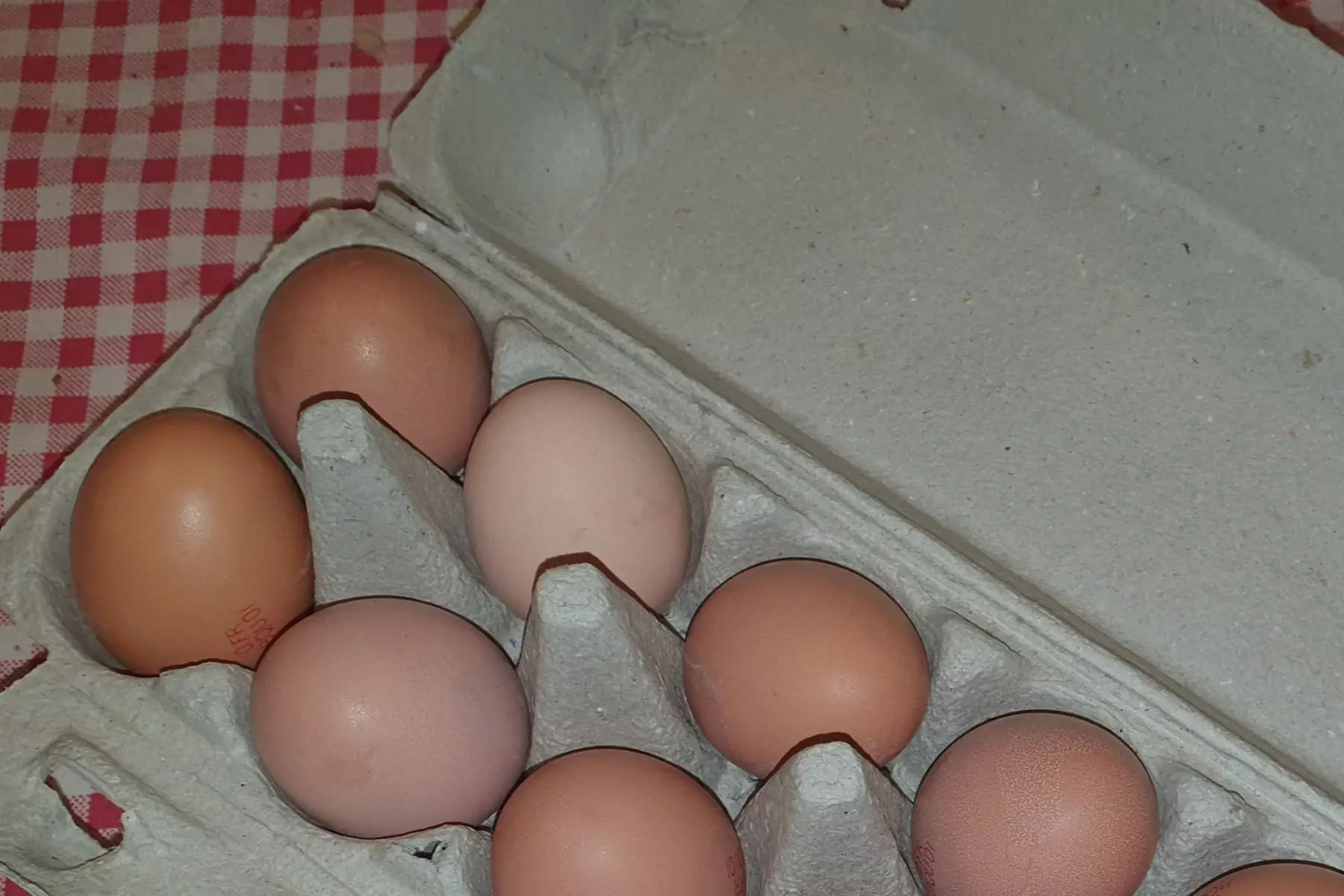 earl la ferme des parpagnas