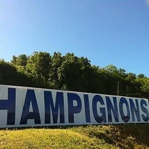 terroir et traditions