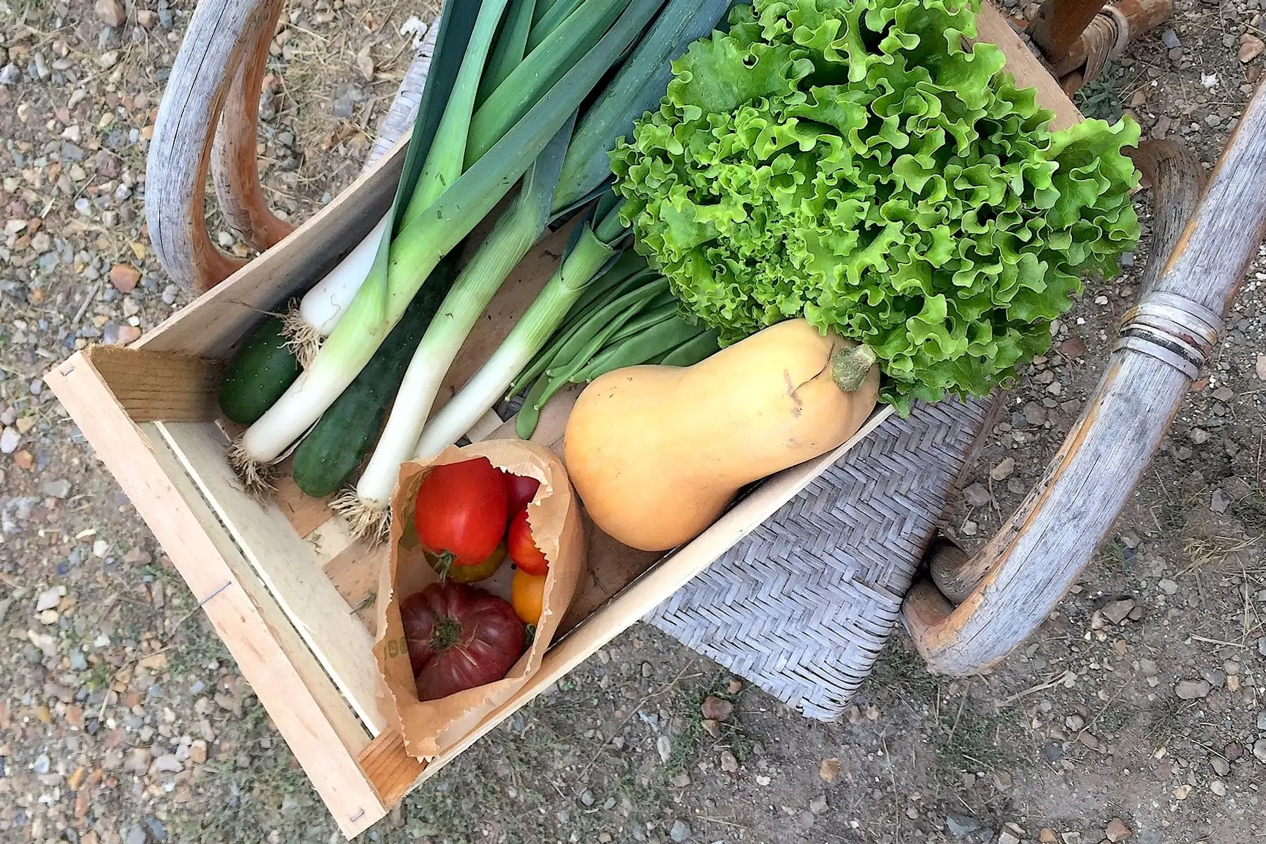 panier de légumes - petit