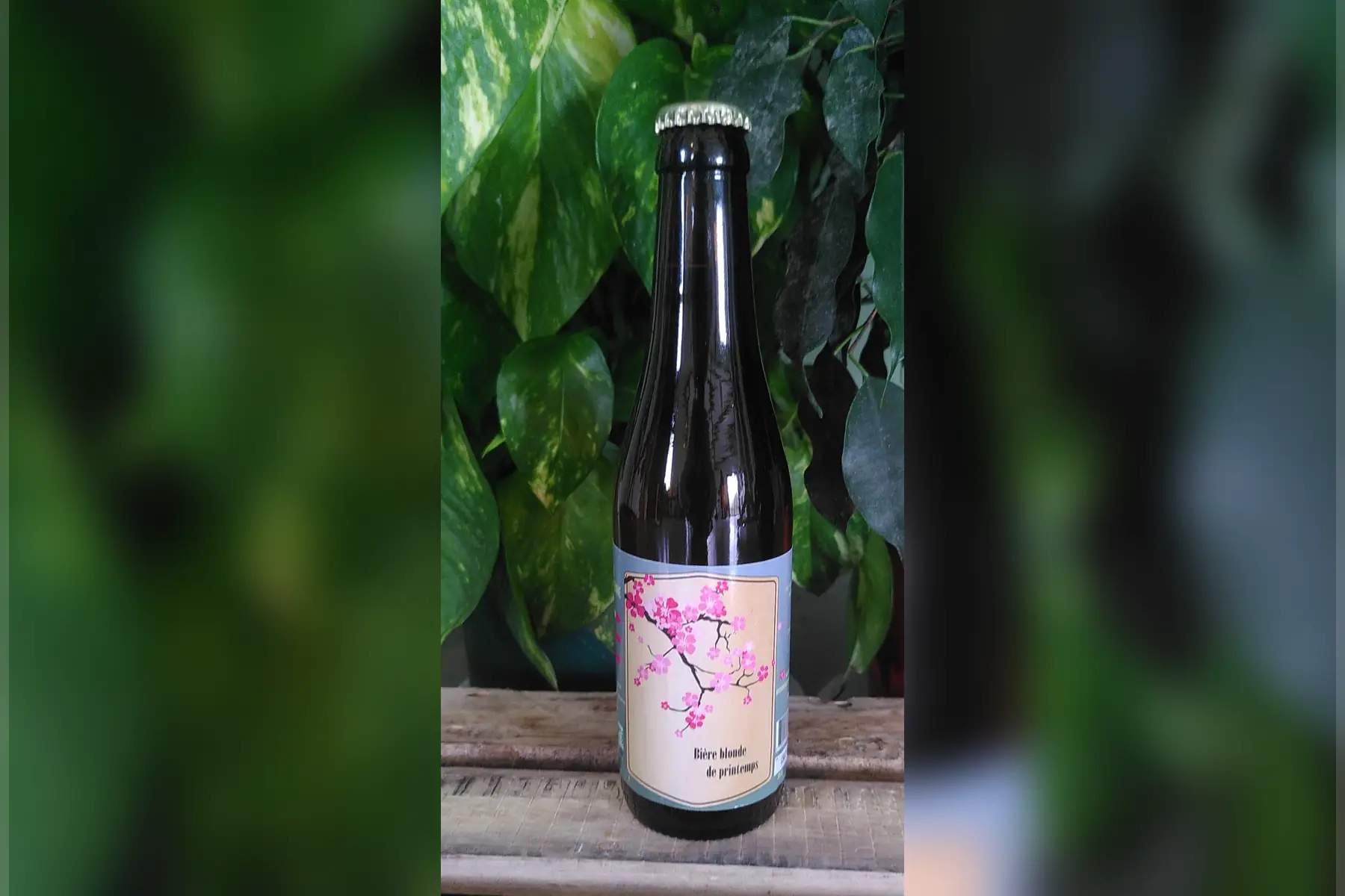 Bière de printemps
