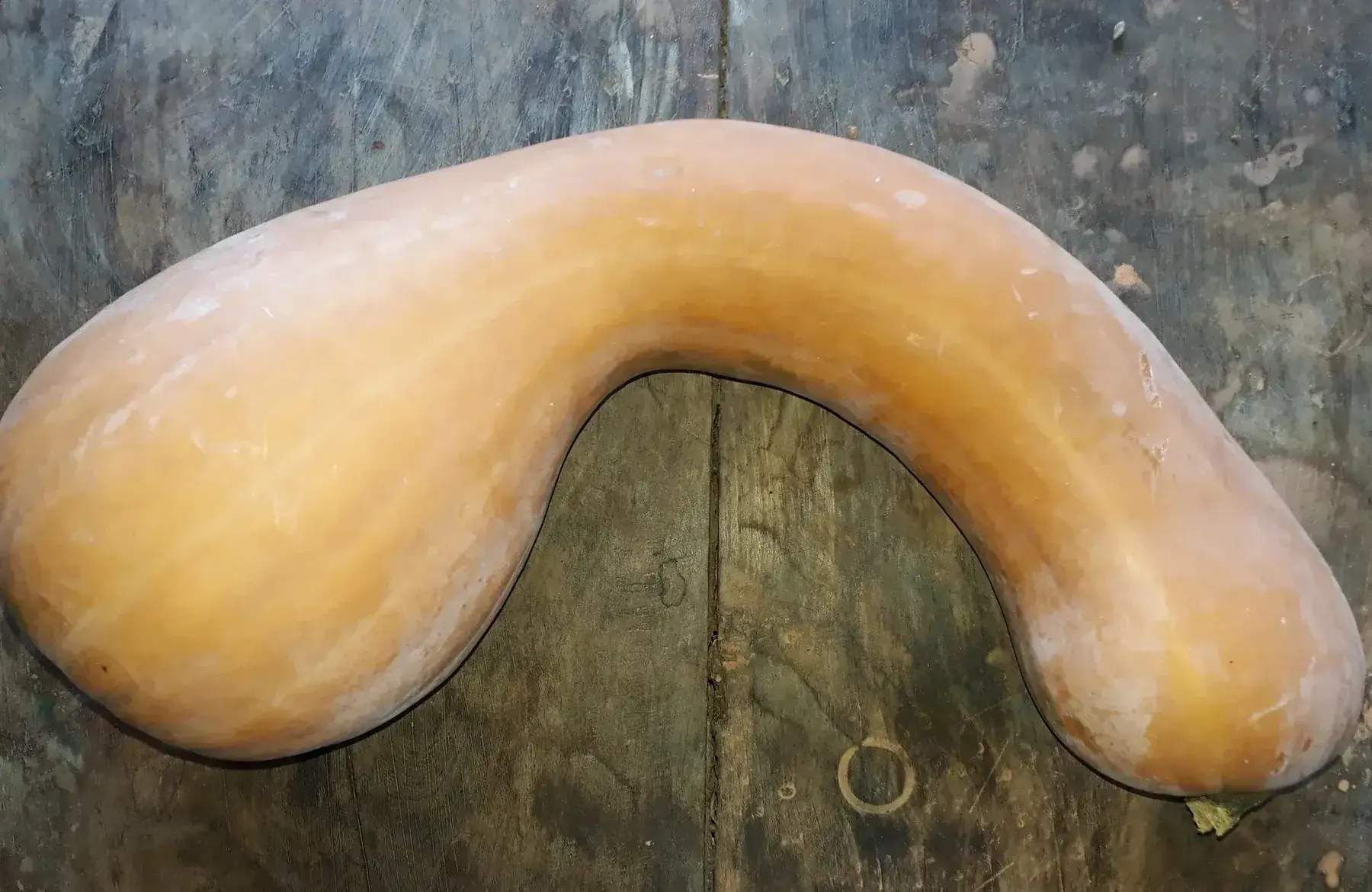 courge longue de nice