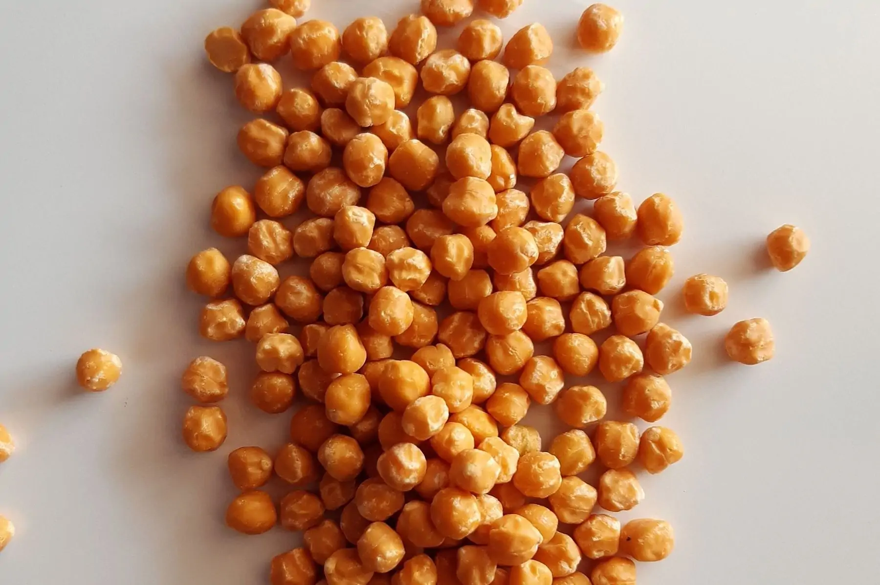 pois chiche décortiqué (variété dési)