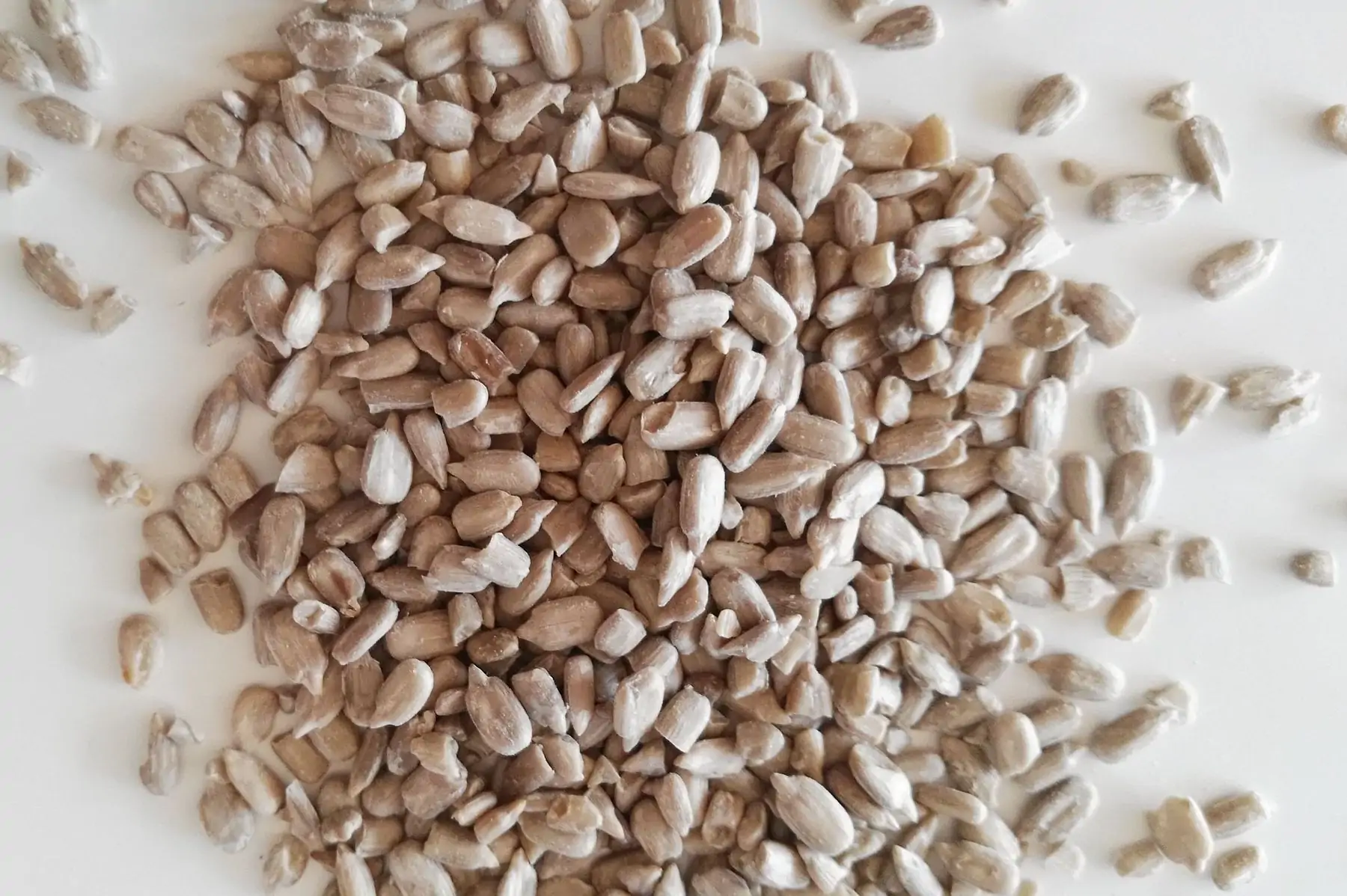 tournesol décortiqué bio