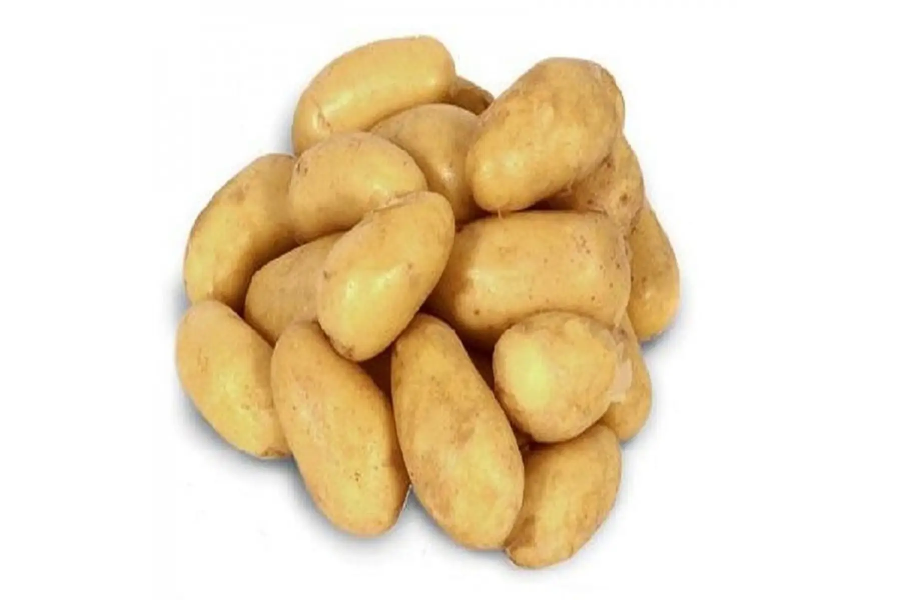 pommes de terre grenaille récolte 2025