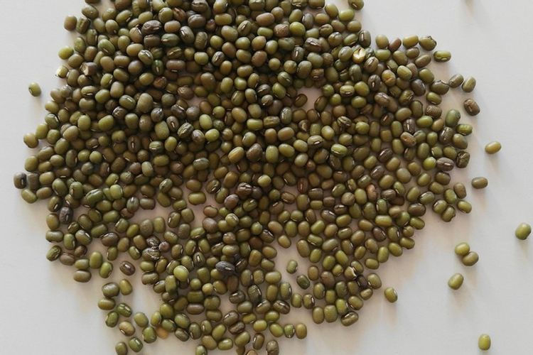 haricot mungo en grain