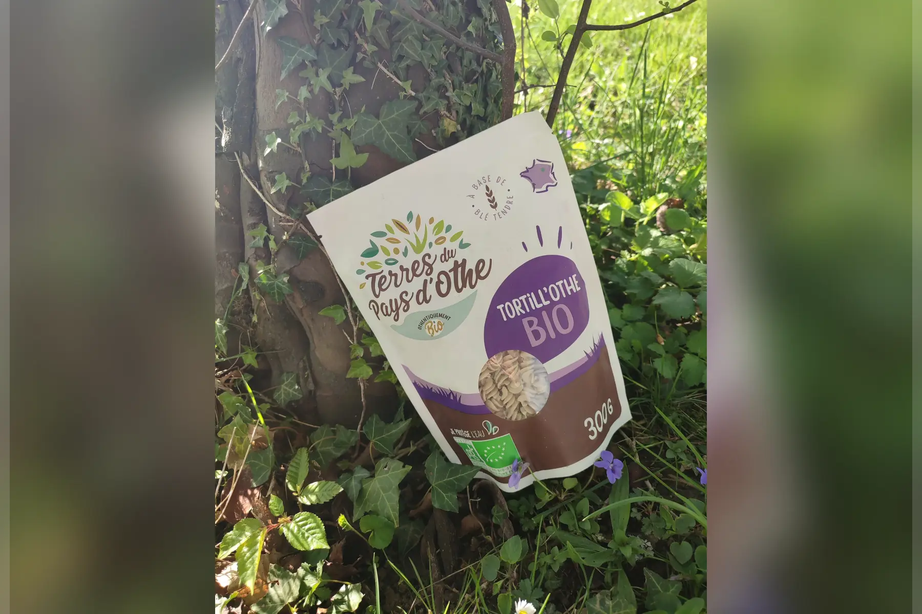 pâtes au blé tendre biologique tortill'othe