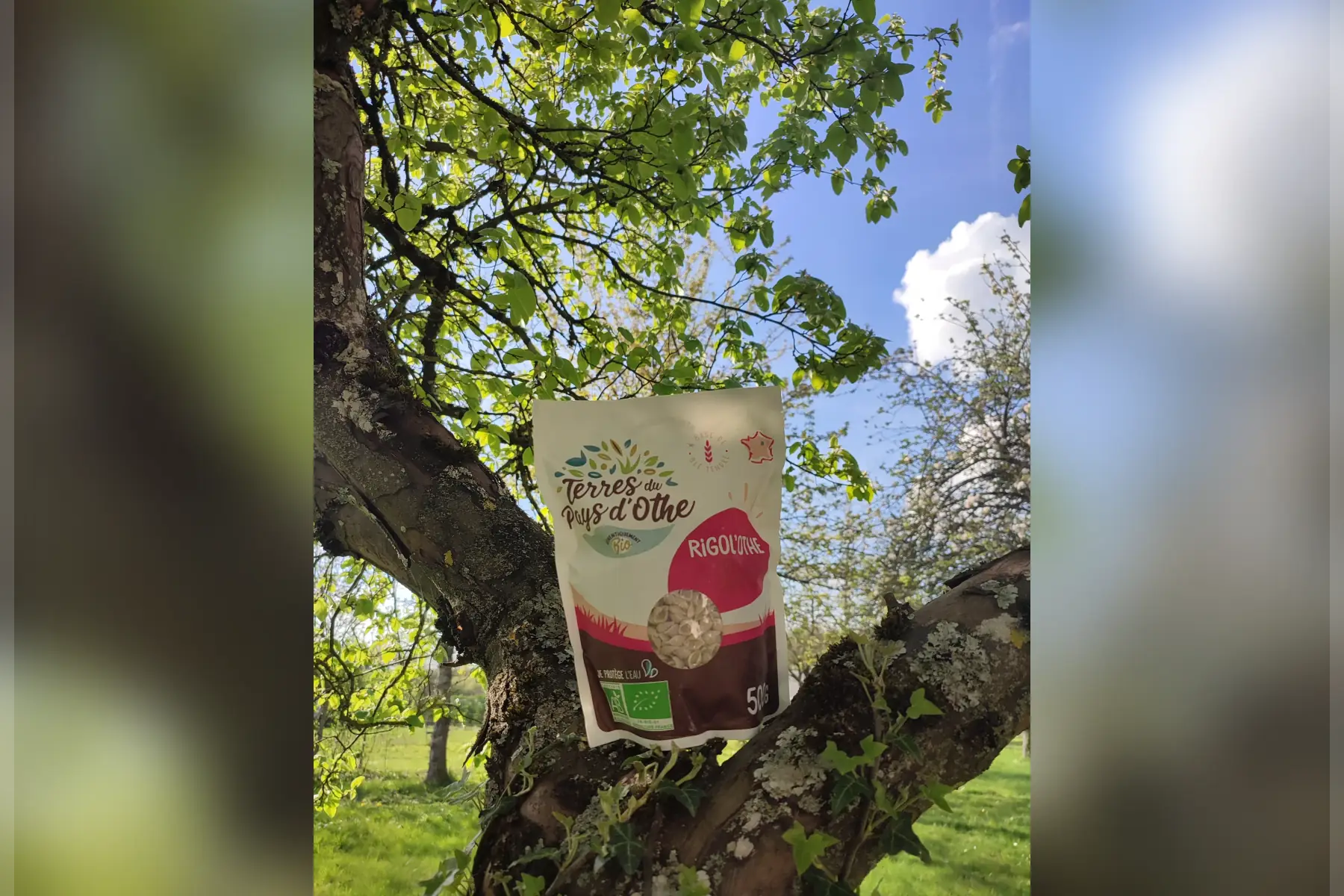 pâtes au blé tendre biologique rigol'othe