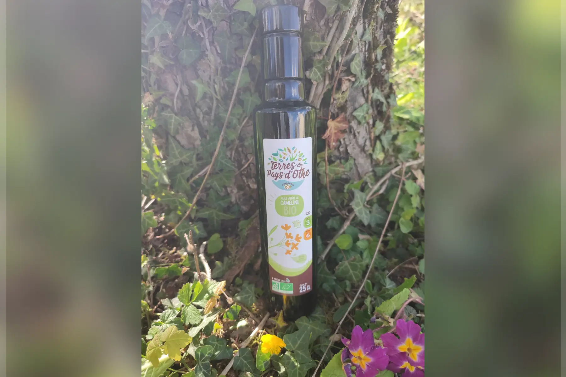 huile de cameline biologique
