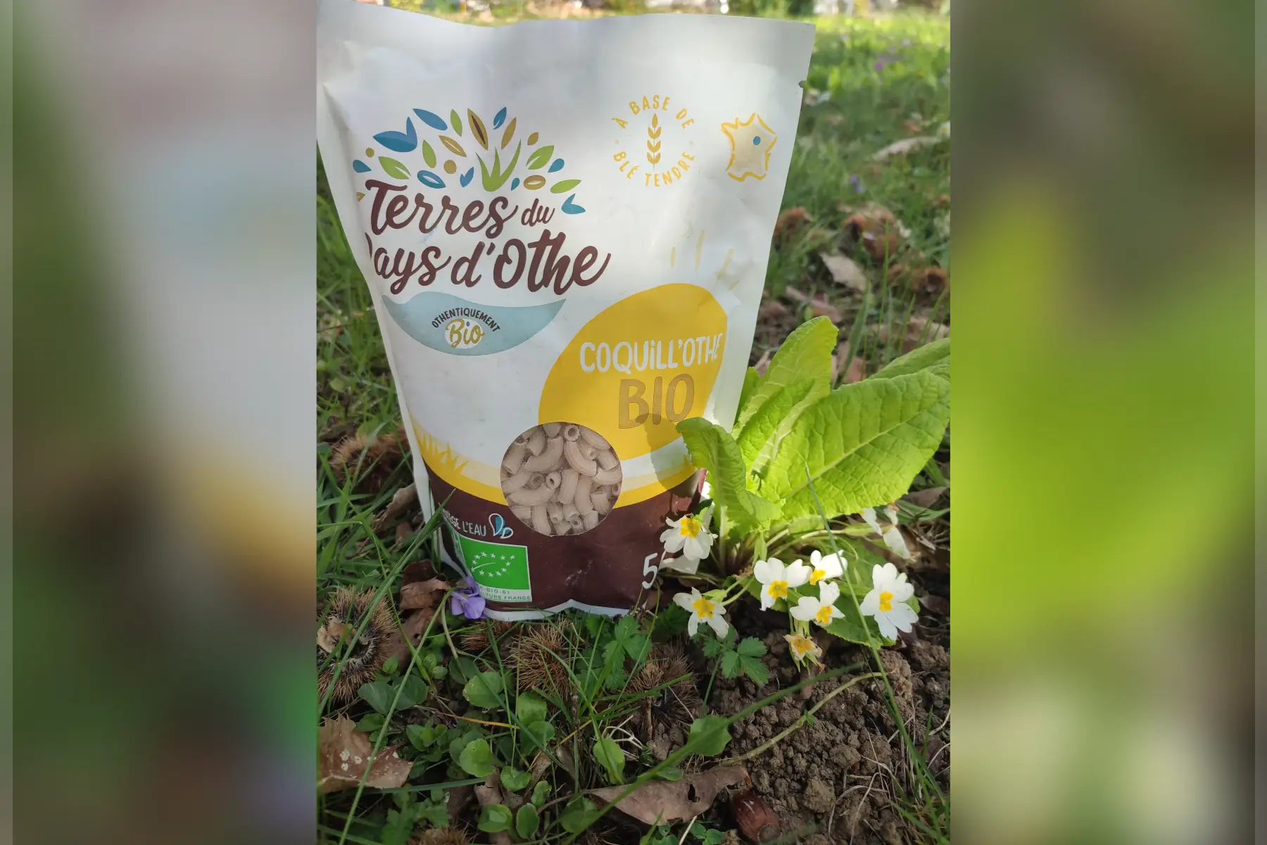 pâtes au blé tendre biologique coquill'othe