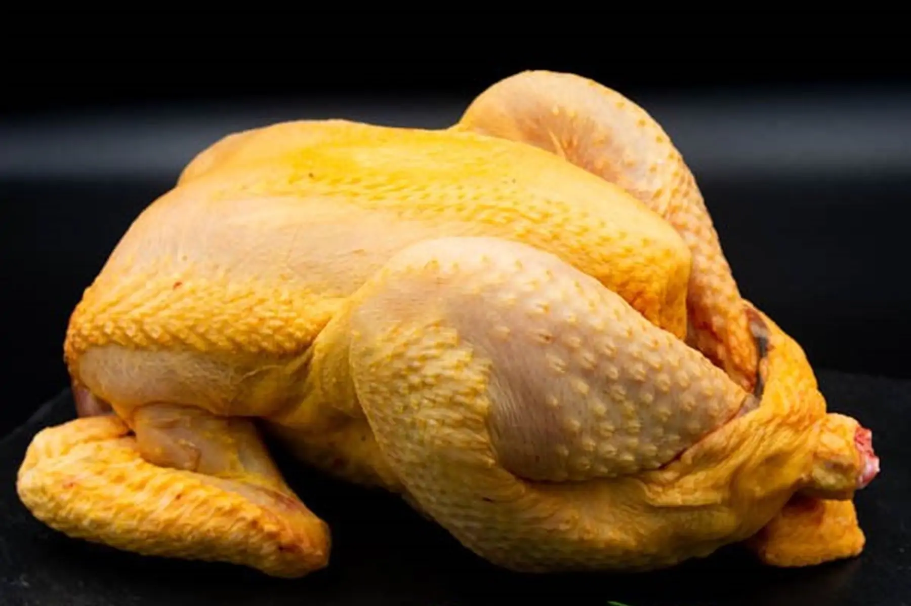 poulet fermier bio prêt-à-cuire entre 1.7kg et 2.2 kg