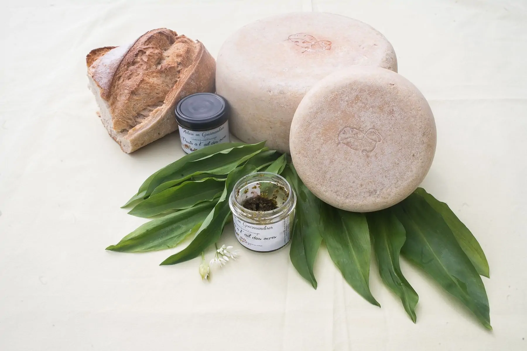 pesto à l'ail des ours et au fromage de brebis