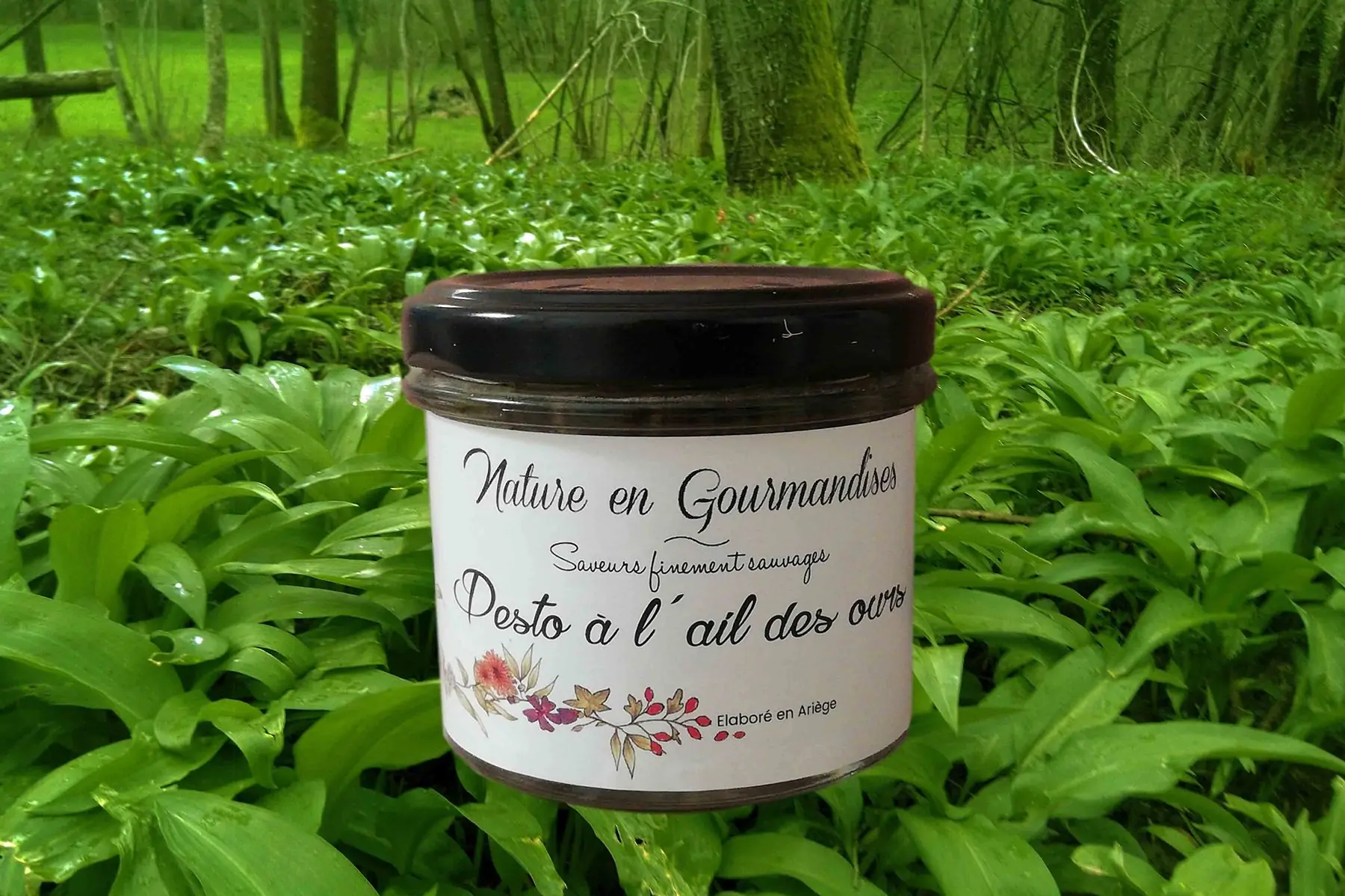 pesto l'ail des ours et au fromage de chèvre