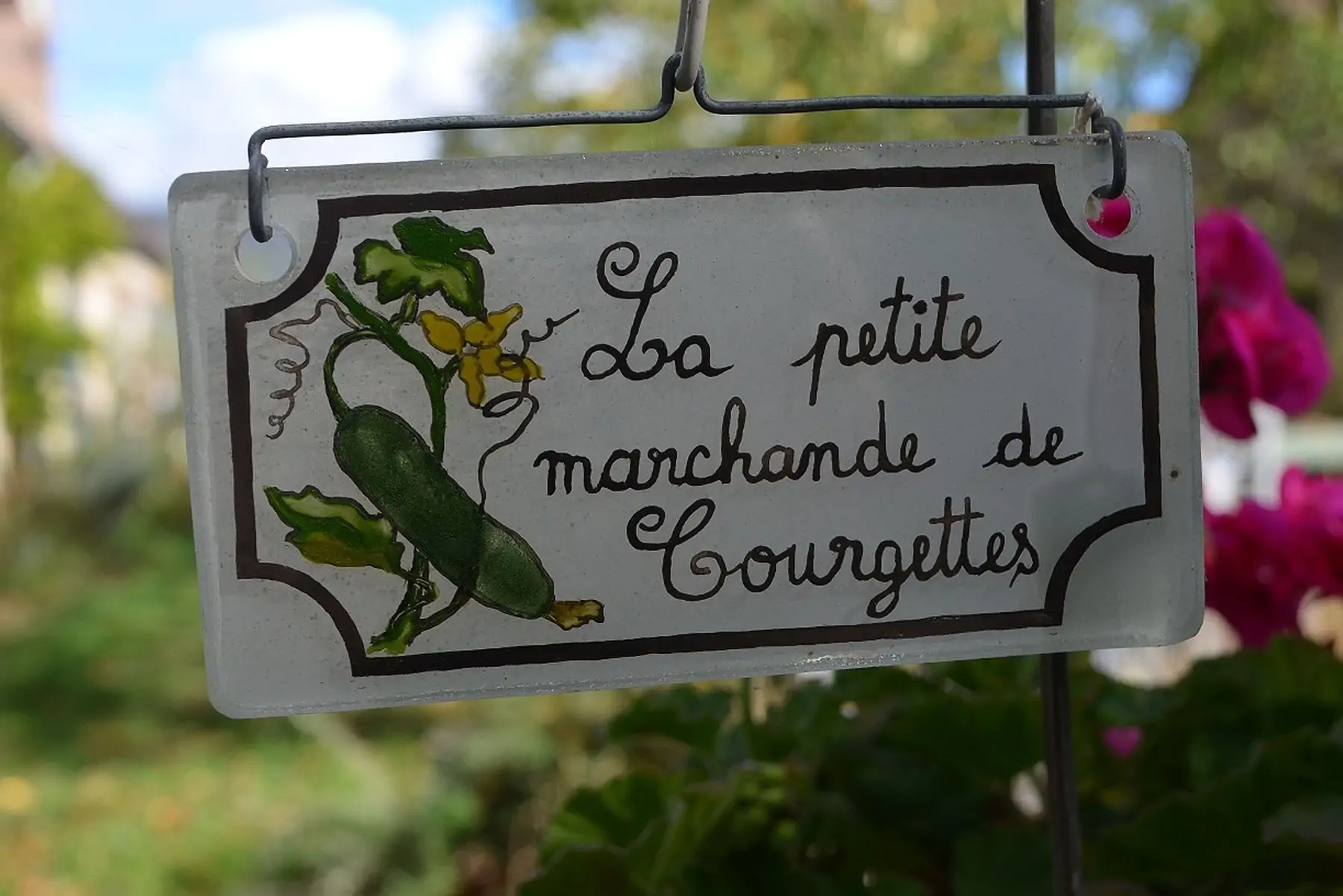 la petite marchande de courgettes
