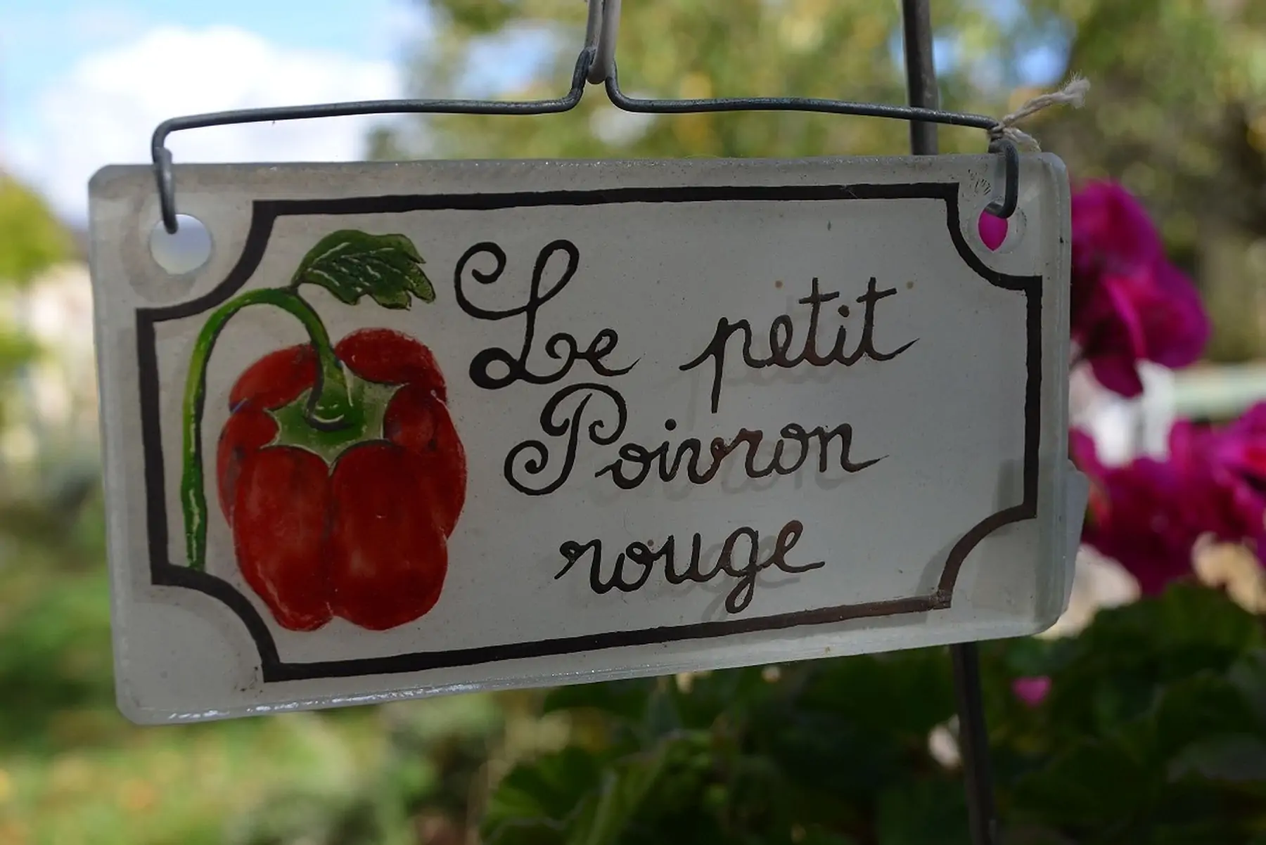 le petit poivron rouge