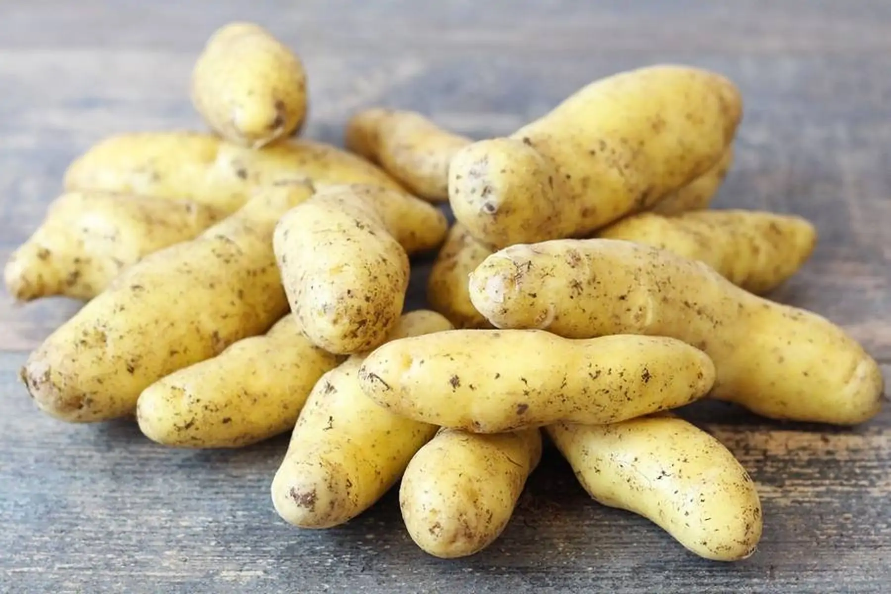 pomme de terre ratte bio
