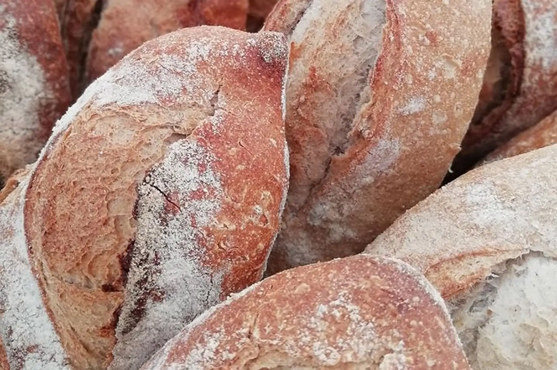 pain de campagne 800gr
