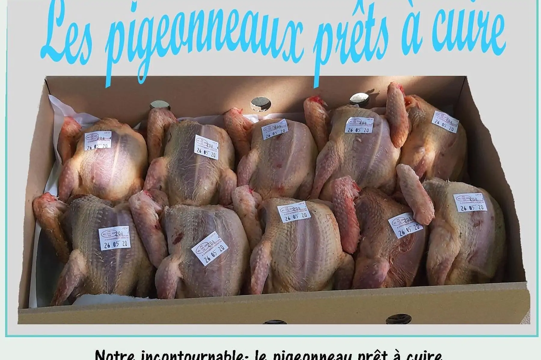 les pigeonneaux prêts à cuire