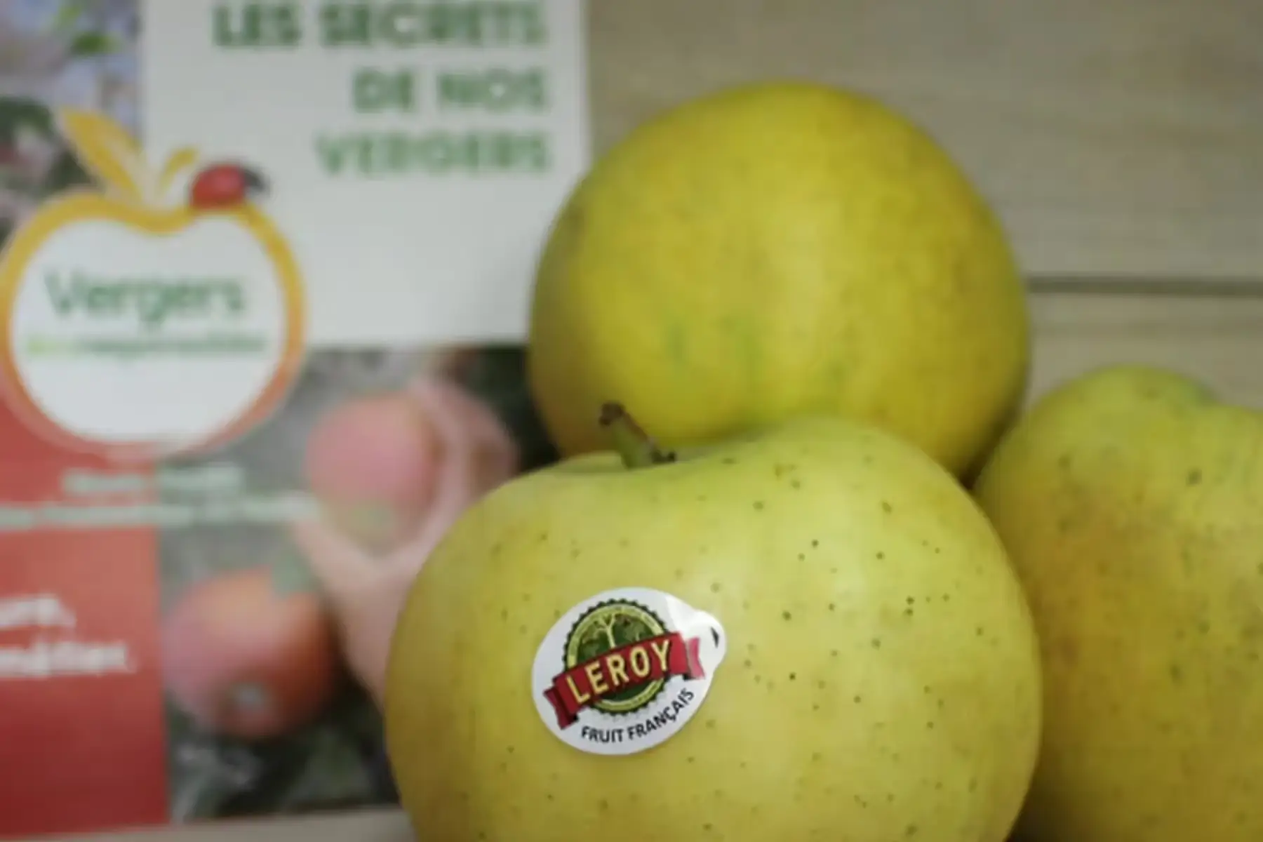 belchard chanteclerc