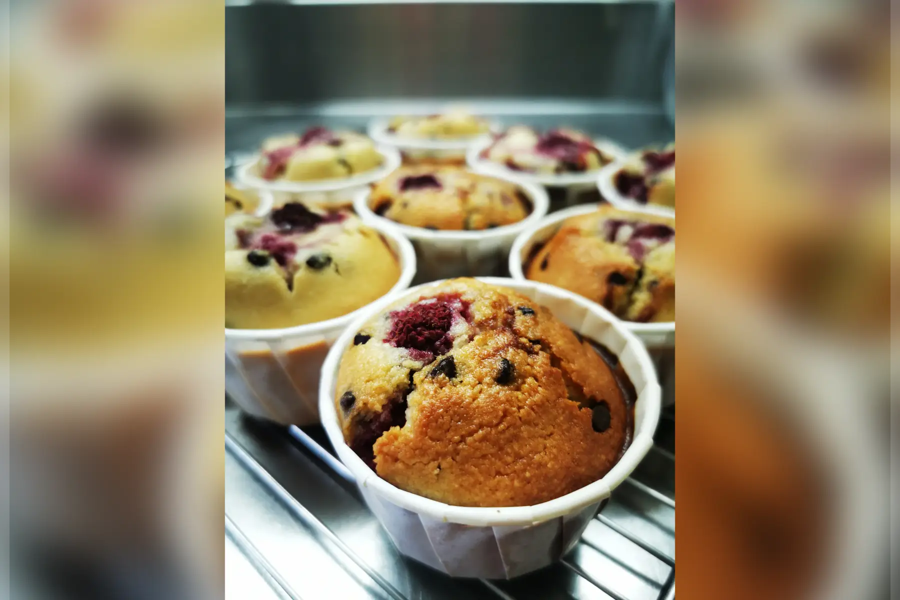 Amandier aux framboises et pépites de chocolat VG SG