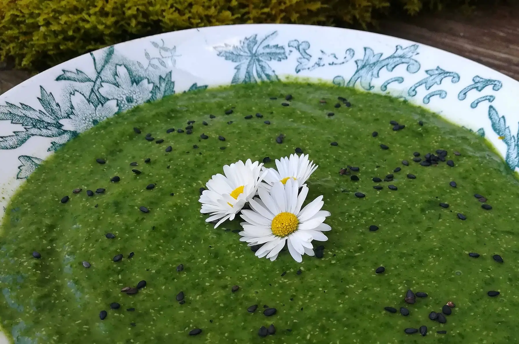 soupe à l'oseille et son bacon de tournesol v sg