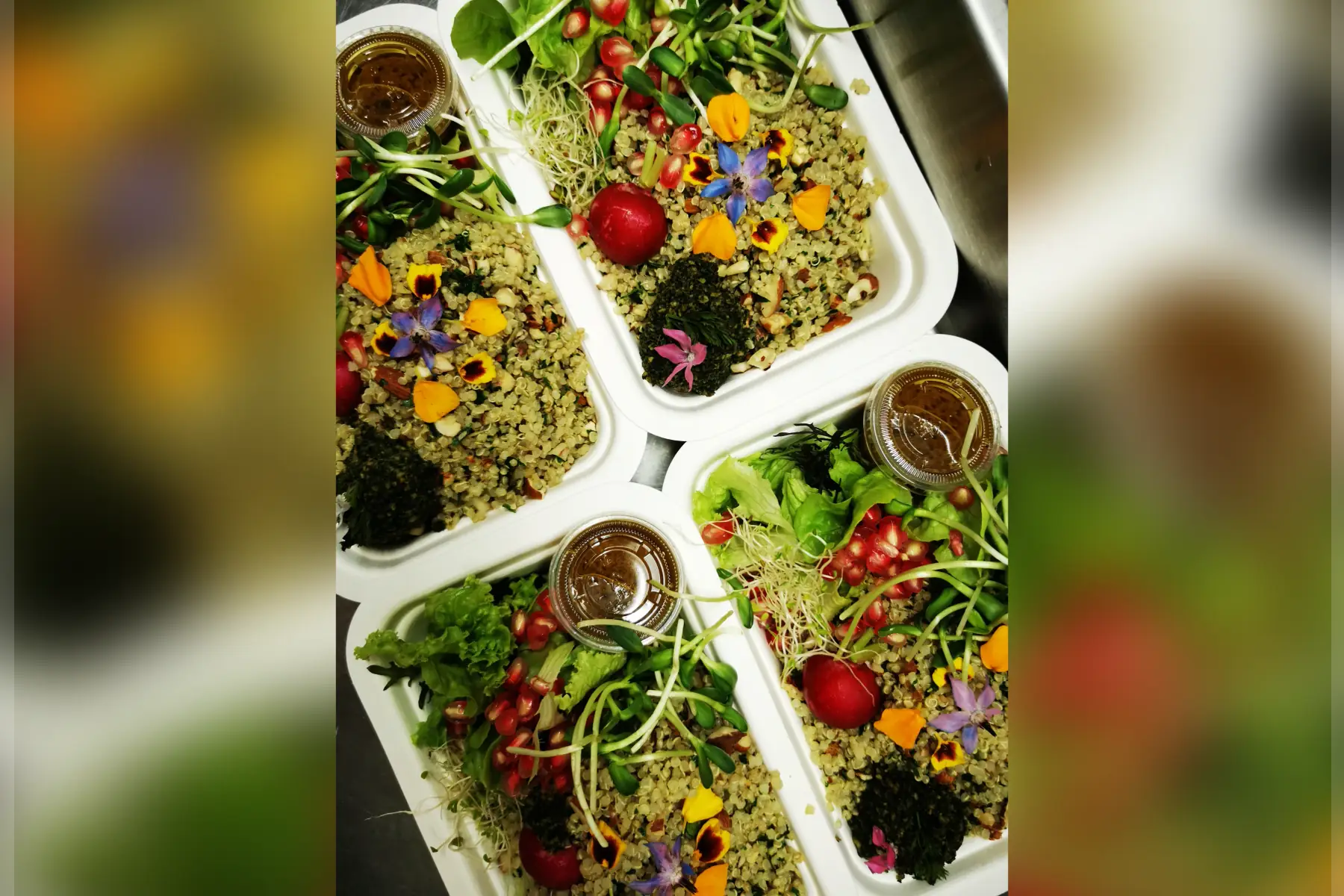 salade de mesclun, quinoa, châtaignes, noisettes et amandes v sg