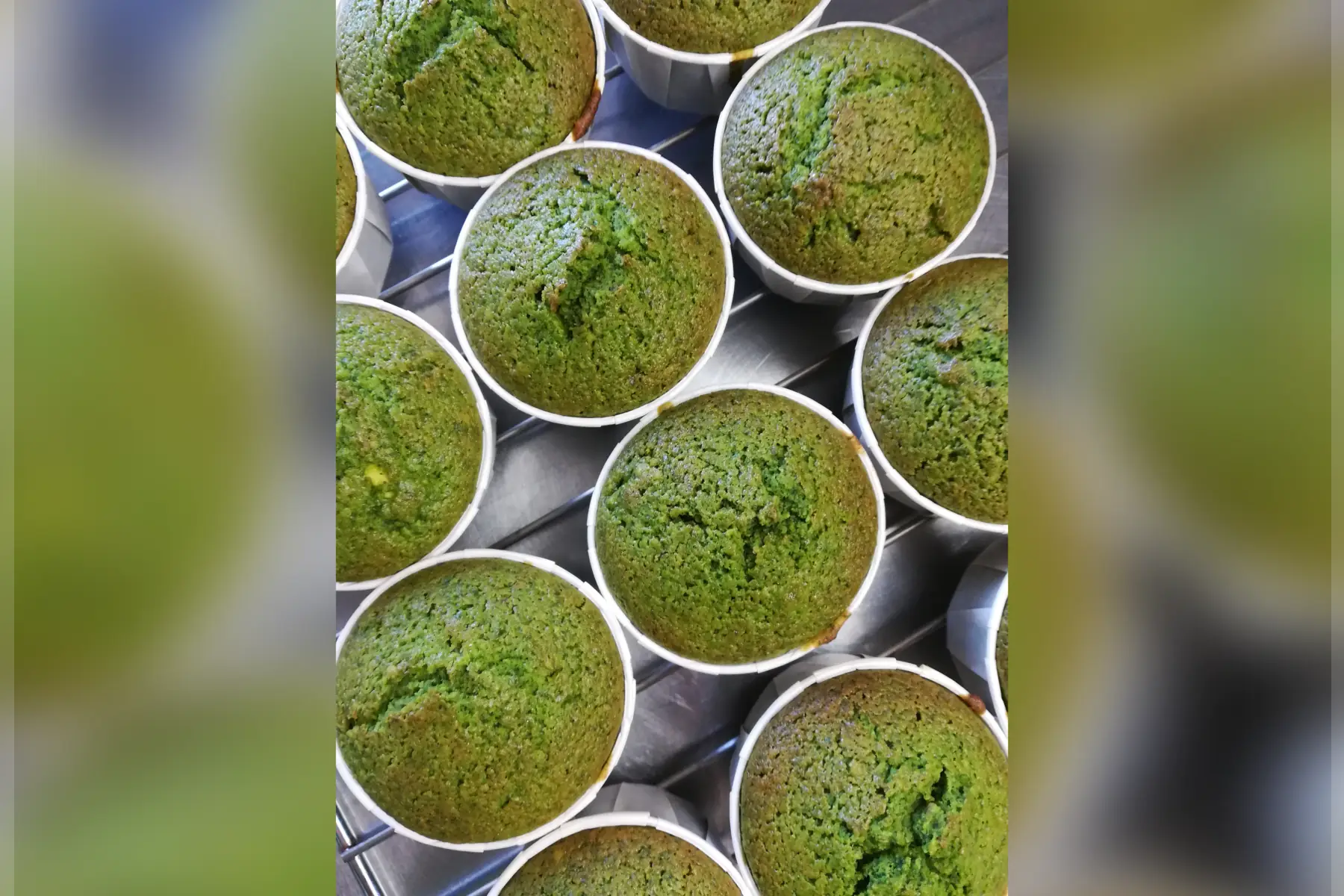 muffins aux blettes et fruits secs vg sg